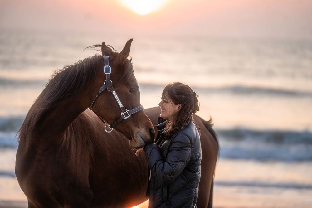Cheval au coucher du soleil à l'océan lors d'une séance photo équine