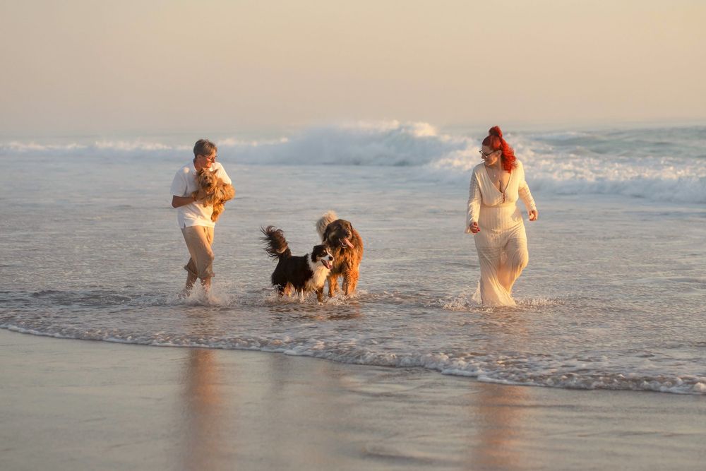 Deux femmes jouent avec leurs chiens dans les vagues de l'océan au coucher du soleil.