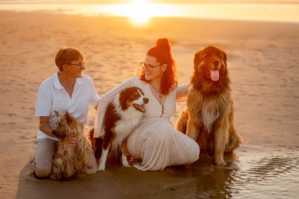 Deux femmes assises sur une plage au coucher du soleil avec leurs trois chiens