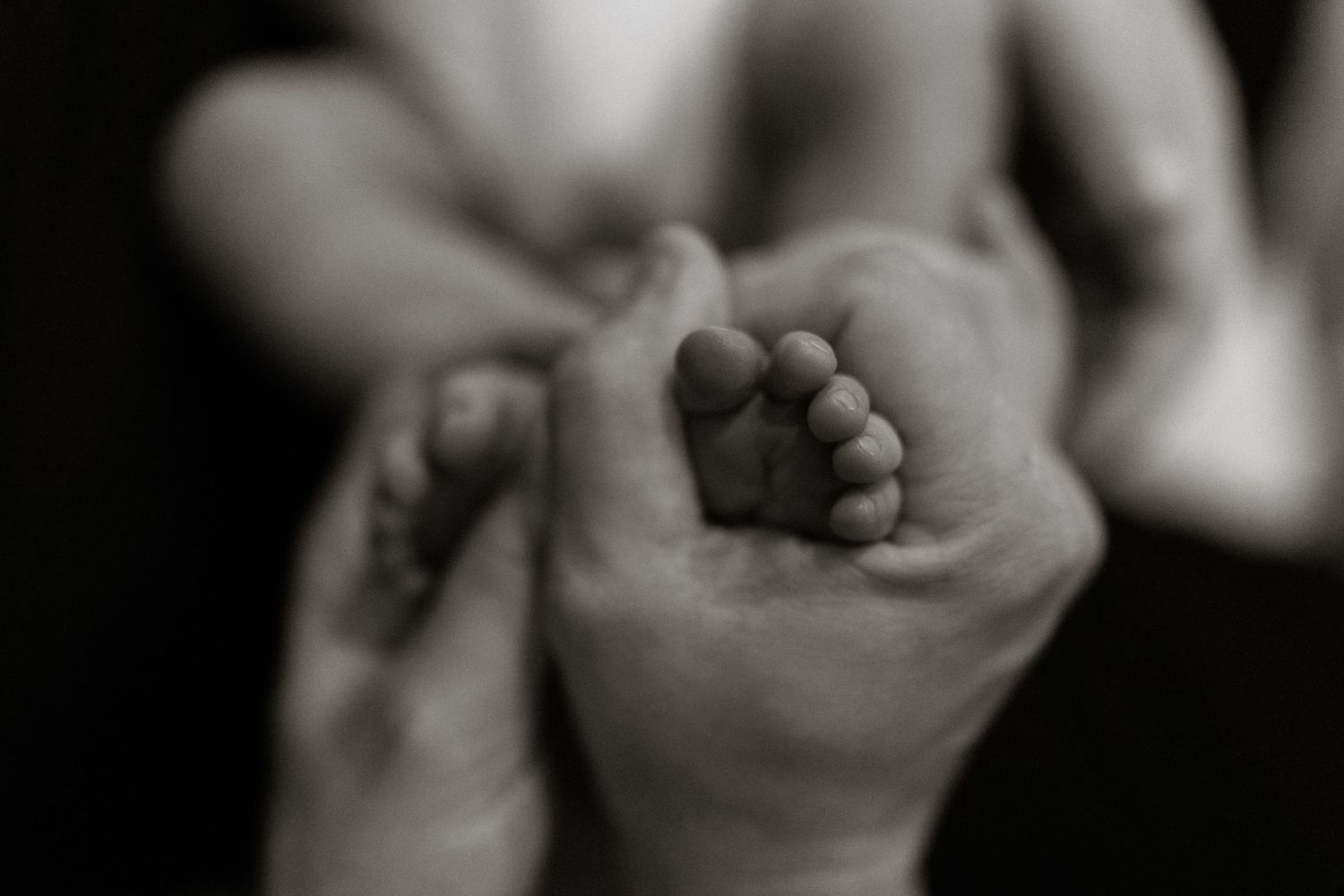 Black and white photo of a newborn baby's tiny feet cradled gently in an adult's hands.