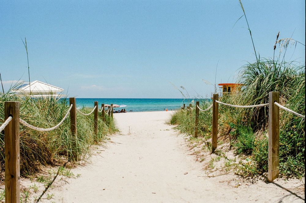Sandy beach path with rope fencing, sea oats, and ocean view on a sunny day.