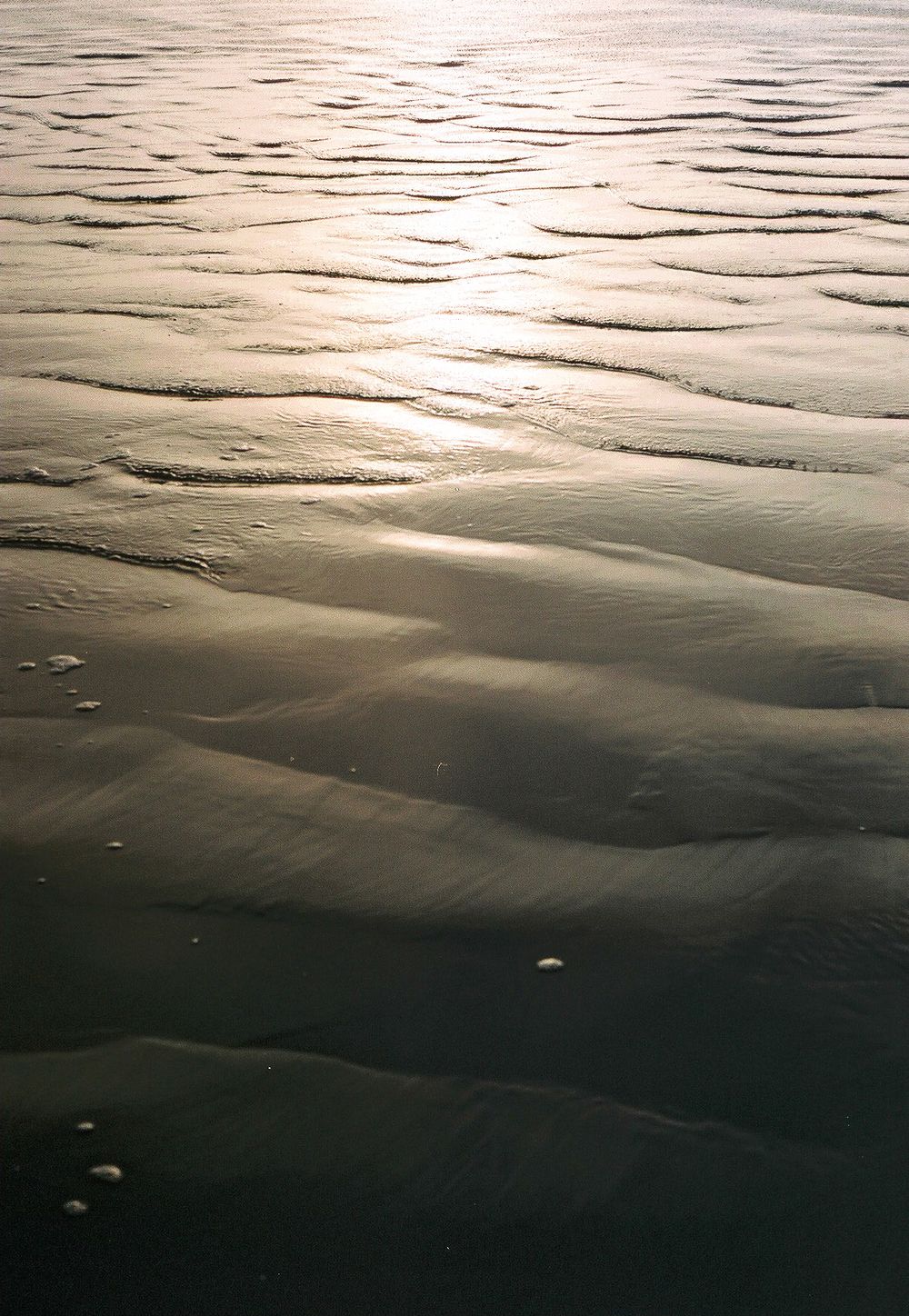 Sunlight reflecting on wet rippled sand at low tide, creating golden patterns on a serene beach.