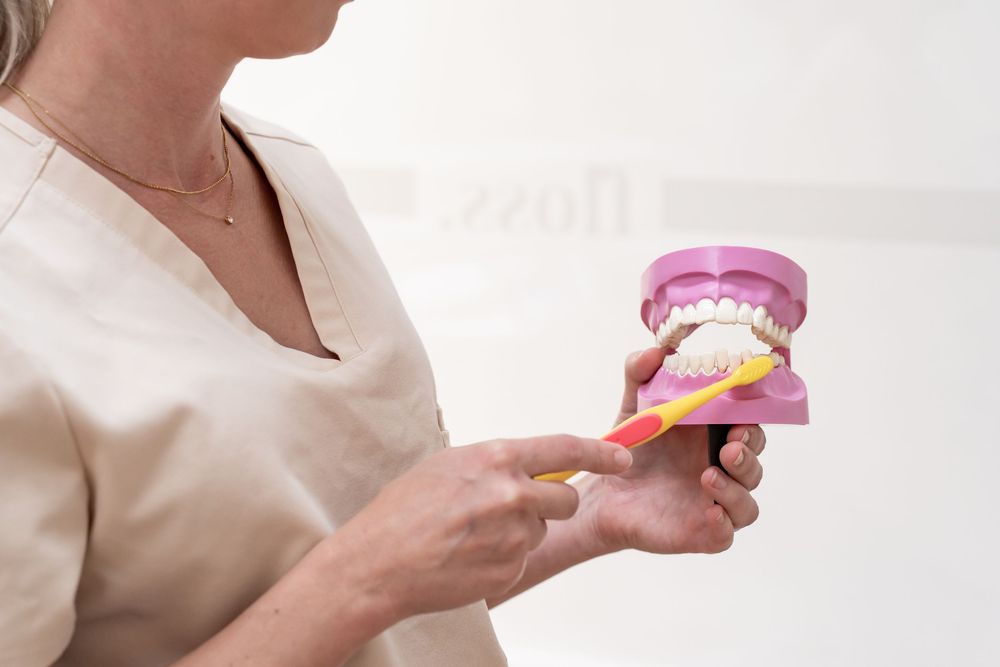 A dentist demonstrates proper brushing technique using a pink toothbrush on a dental jaw model.