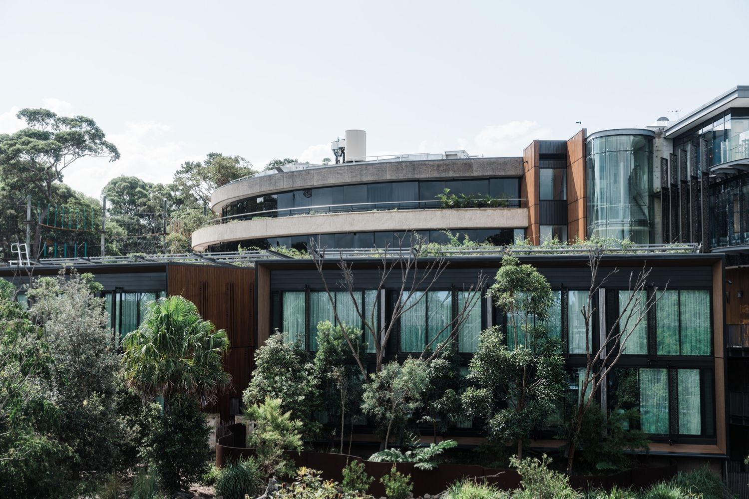 Modern curved glass building surrounded by lush green trees and tropical forest in a natural architectural setting.