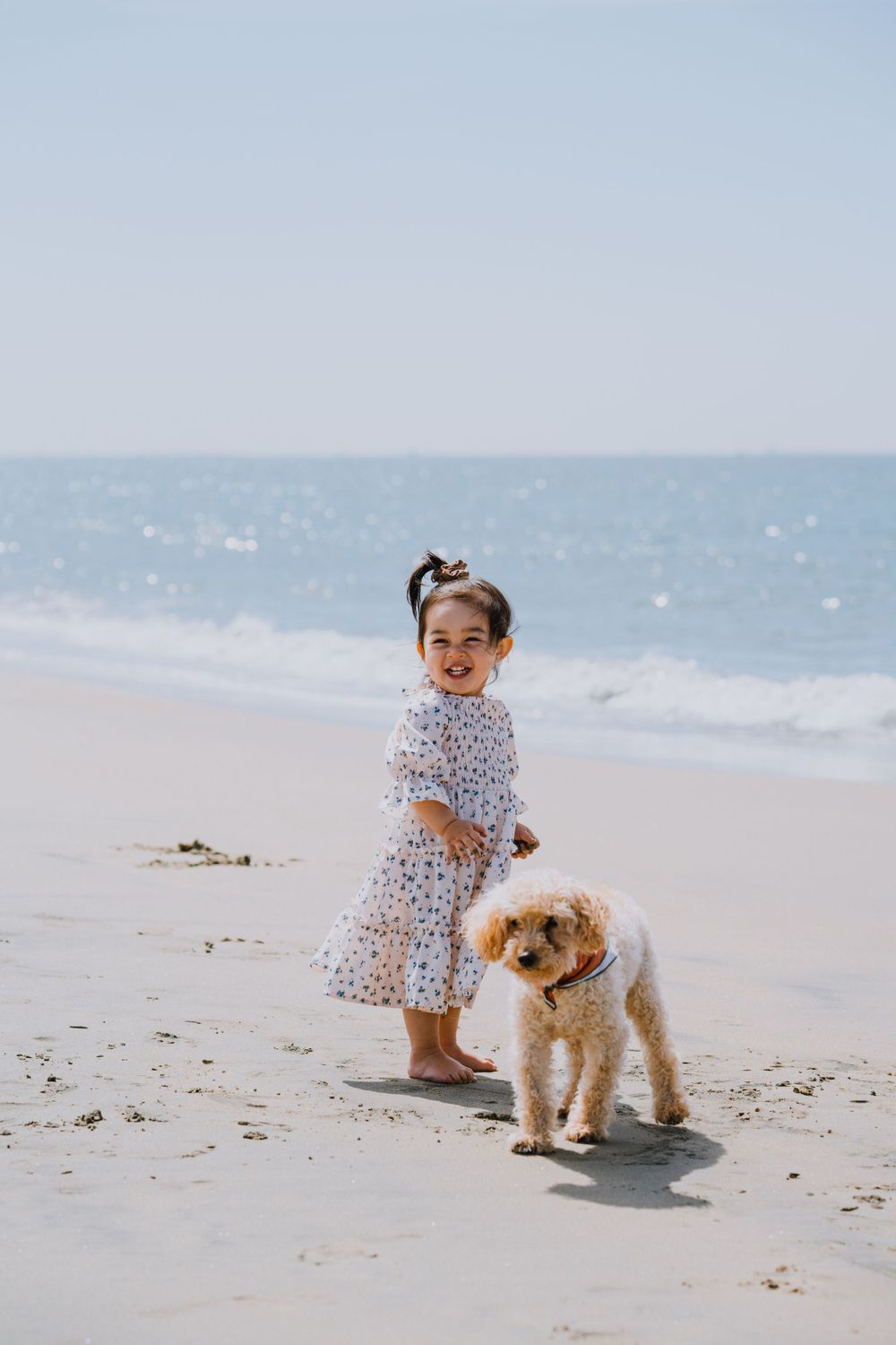 Young child in polka dot dress plays with fluffy dog on sunny beach.