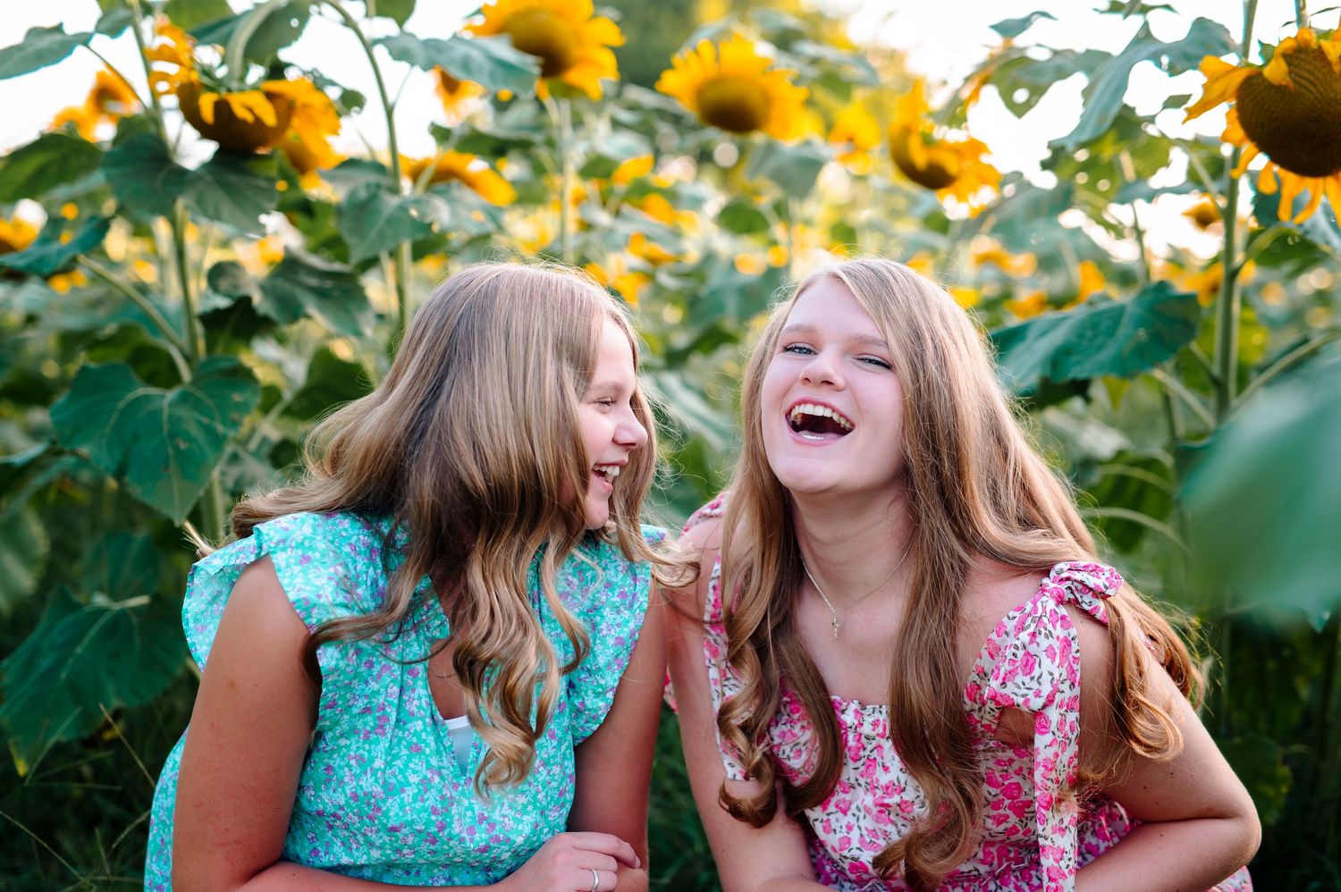 Laughing Giggling sisters in sunflower field Oklahoma