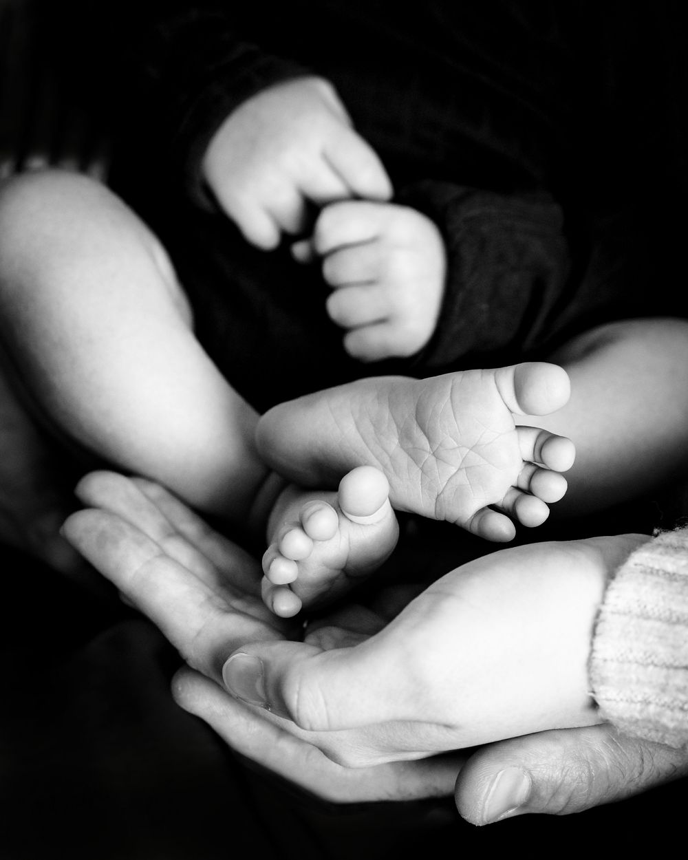Close up black and white photo of tiny baby feet being gently cradled in adult hands.