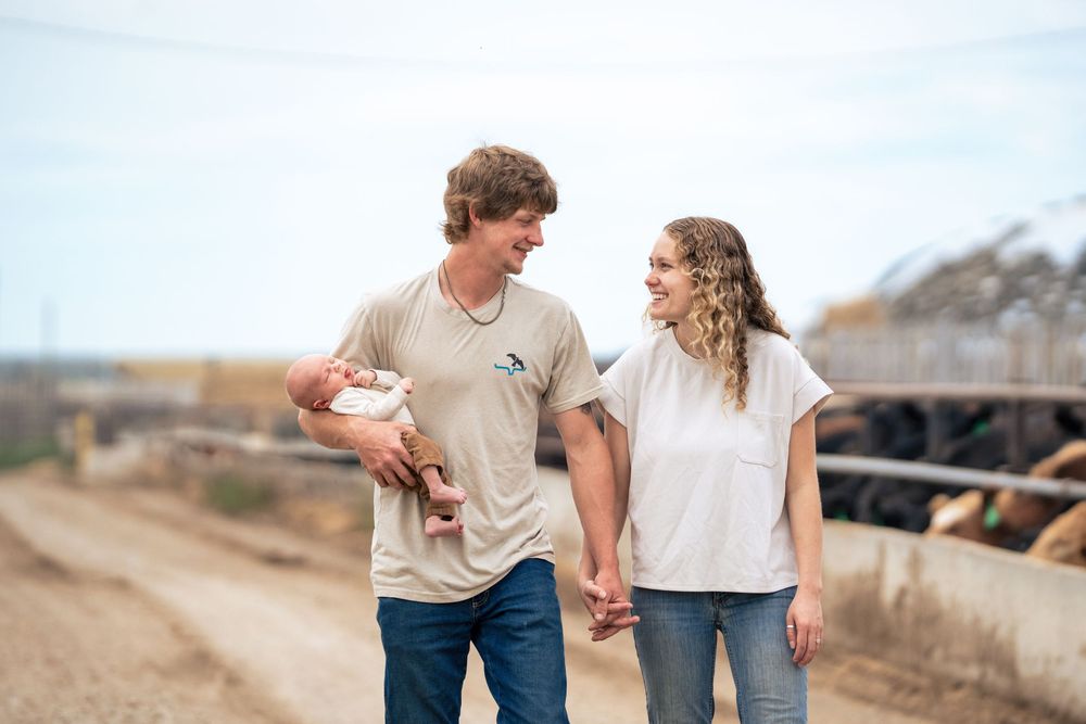 A couple walks together holding hands on a farm with cattle fencing visible in the background.