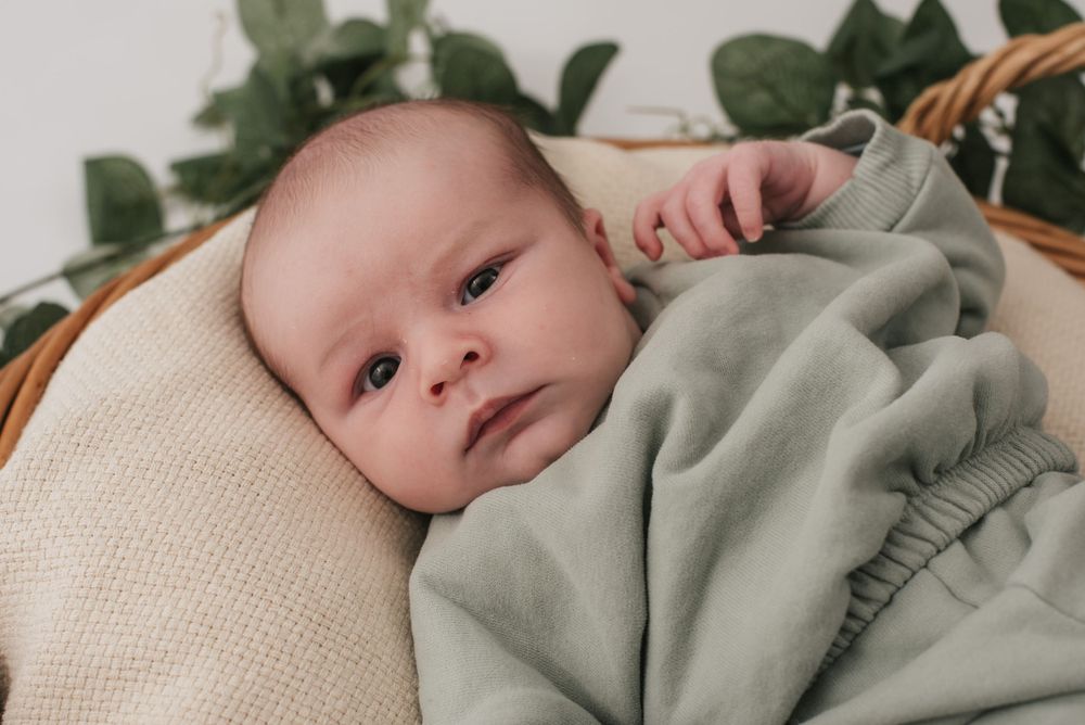Newborn Photography, Plymouth Studio
