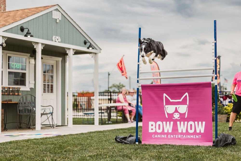 Dog jumping over a Bow Wow Canine Entertainment banner during an outdoor agility performance.