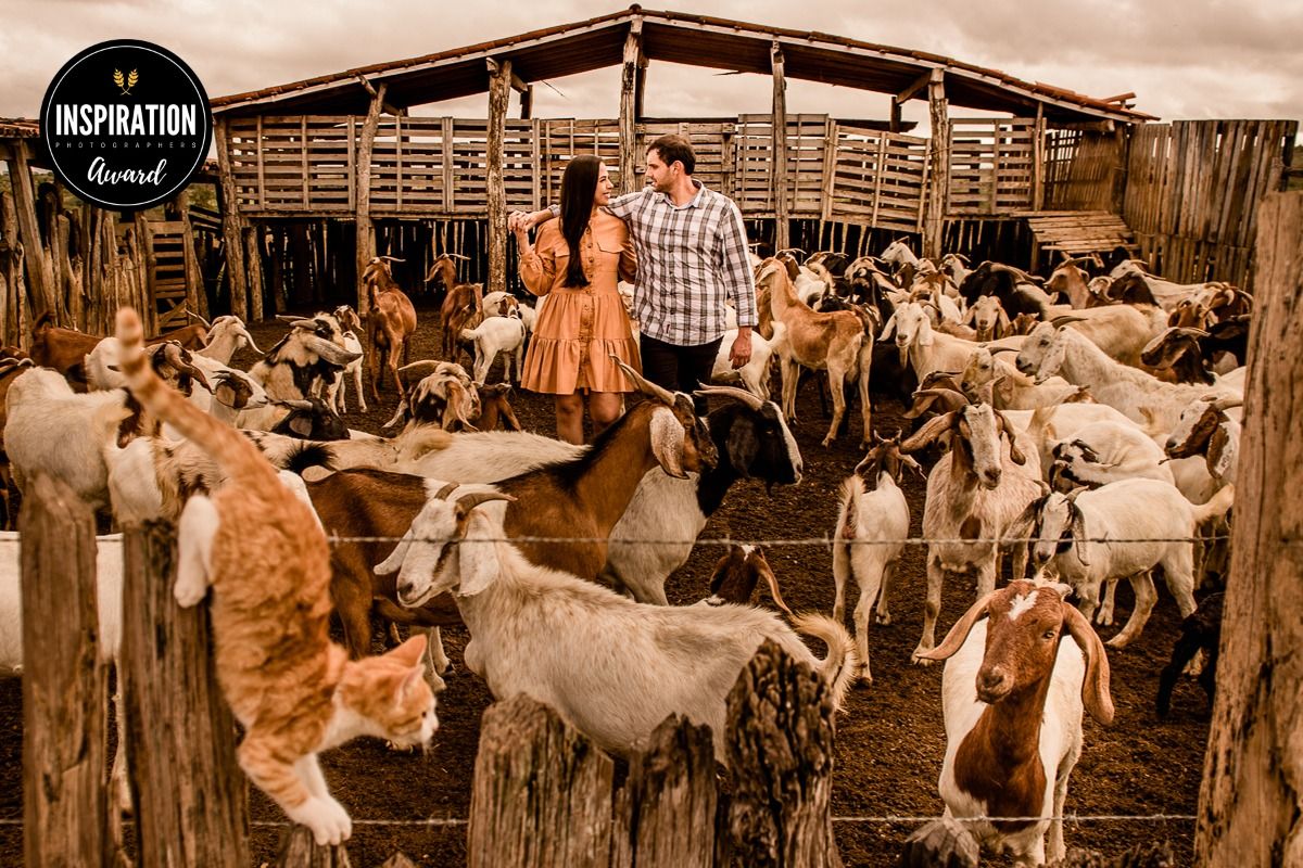 Rustic farm scene with couple surrounded by goats in wooden pen.