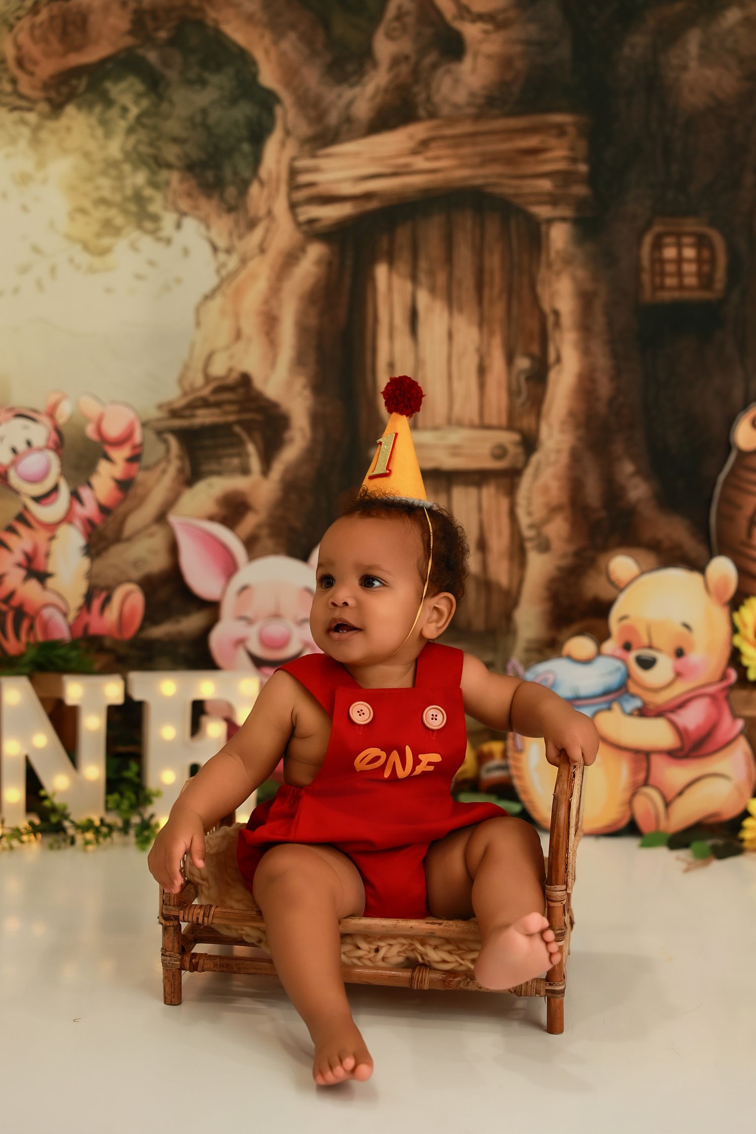 A first birthday photo shoot with Winnie the Pooh themed backdrop featuring a small child in a red outfit sitting in a chair.