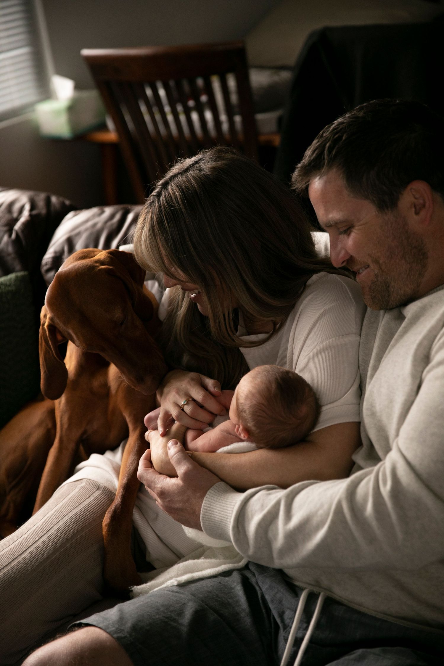 NEWBORN | FAMILY | DOG | BABY