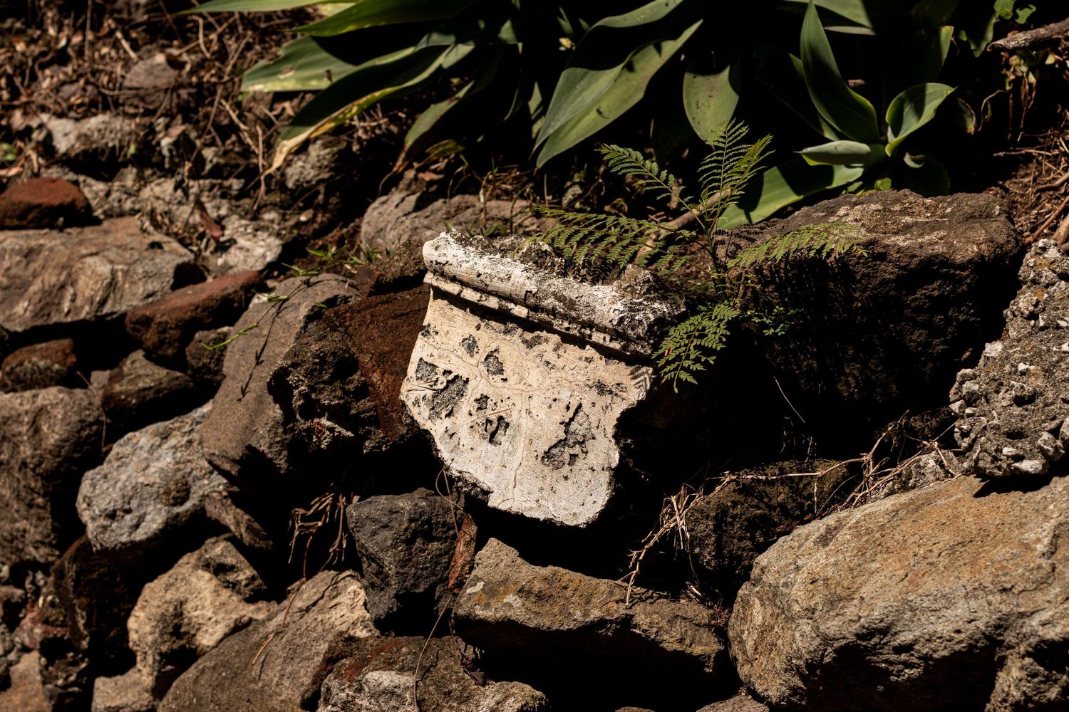 Close-up of rough stone and rocks with green foliage peeking through.
