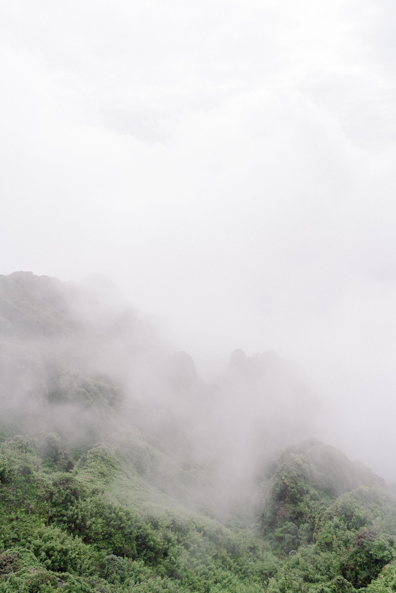 Sapa Elopement Vietnam
