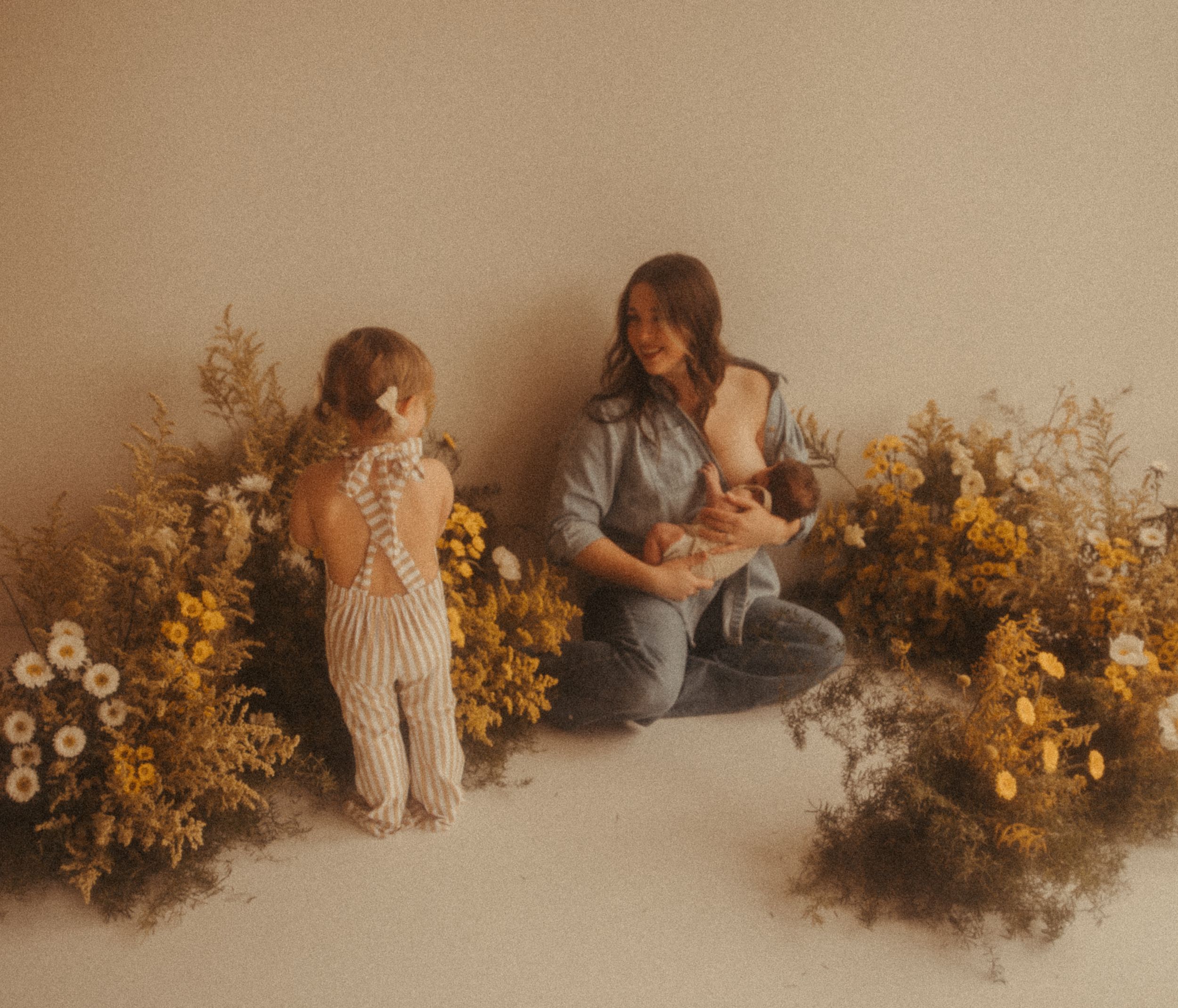 seattle newborn photographer