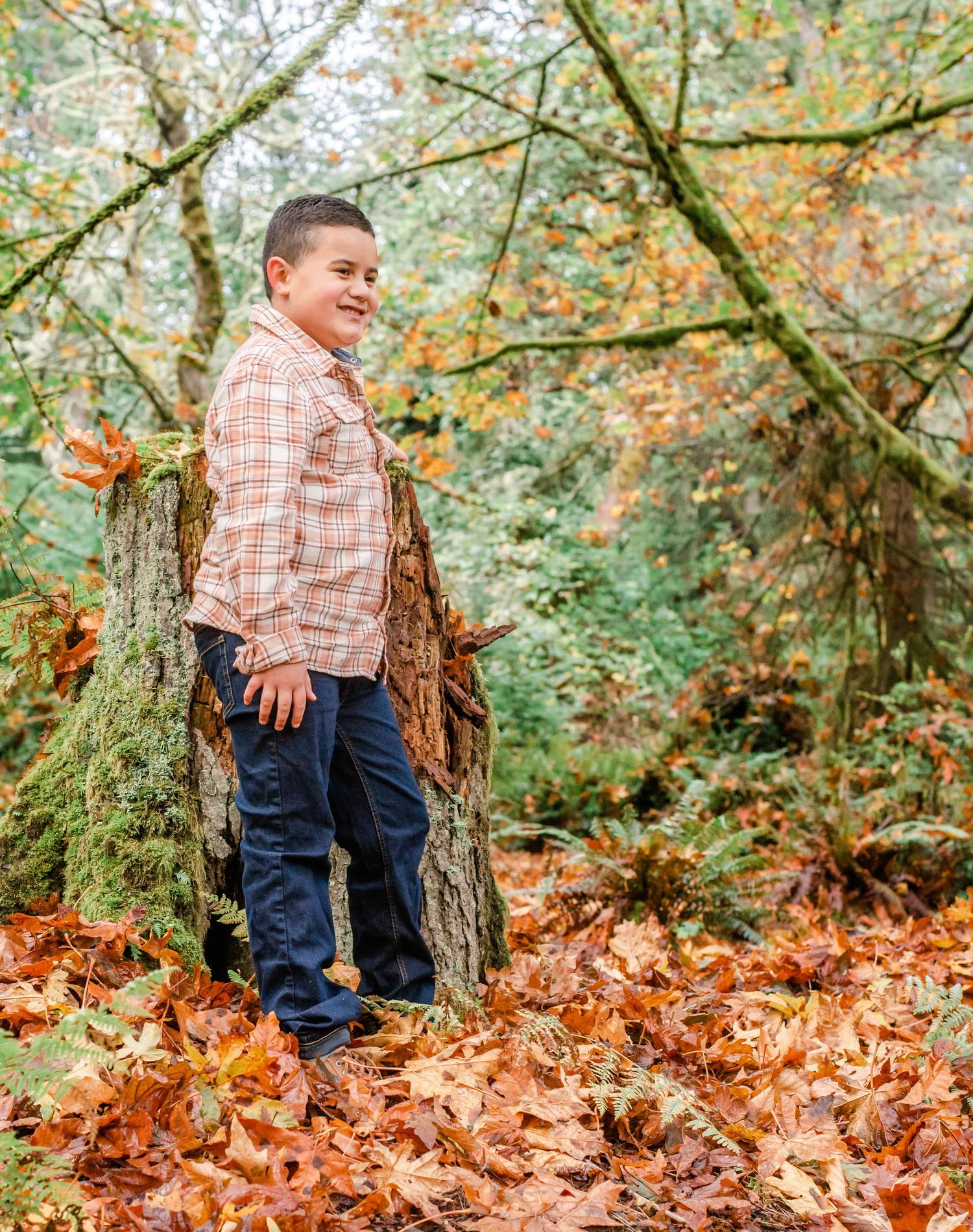 Child in plaid shirt and jeans playing among fallen autumn leaves near a tree trunk.
