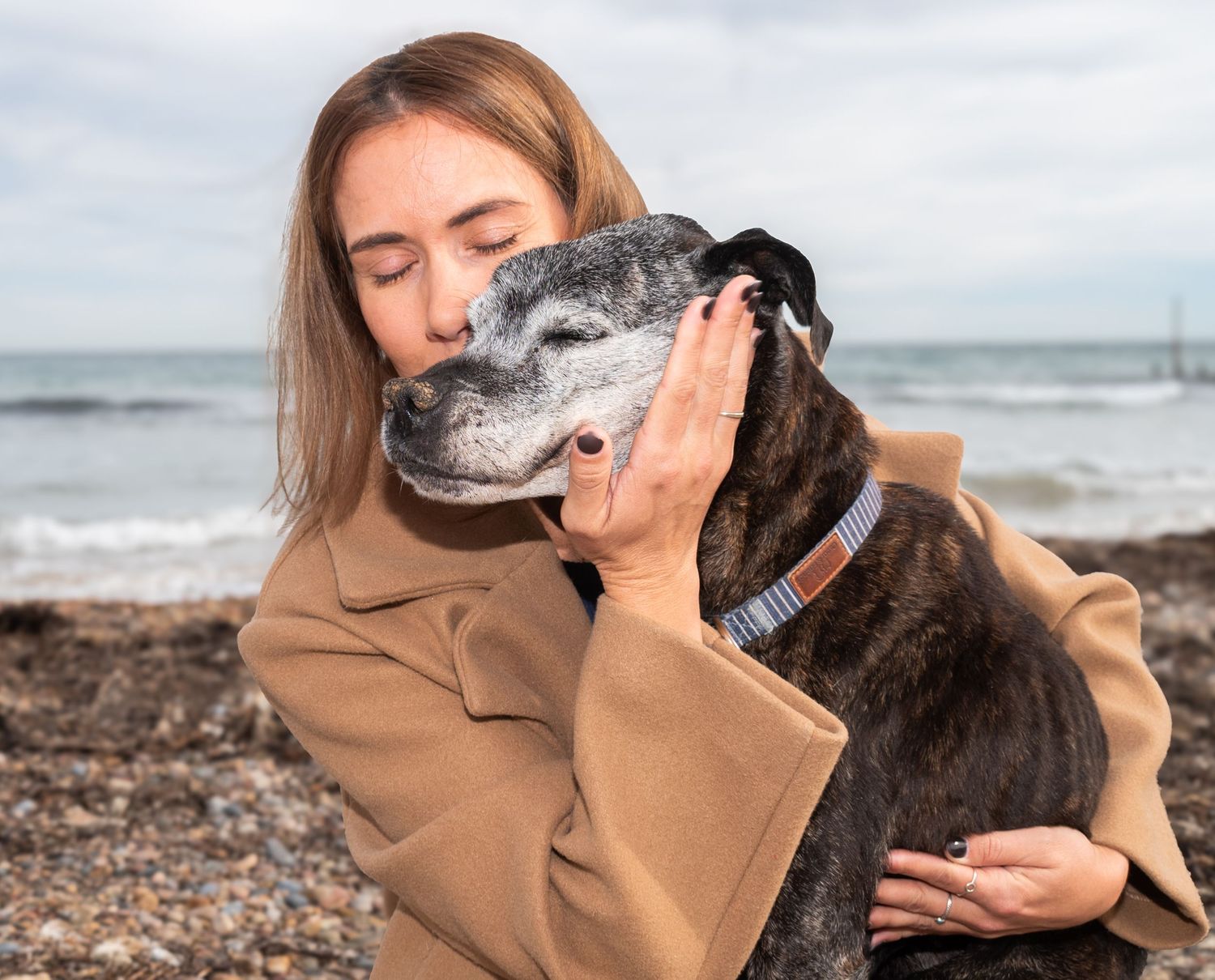 End of Life, Pets, Dogs, Senior Dogs, Palliative Care, Celebration of Life, Passing, Rainbow Bridge, Death, Loved Ones, Photoshoots, Love