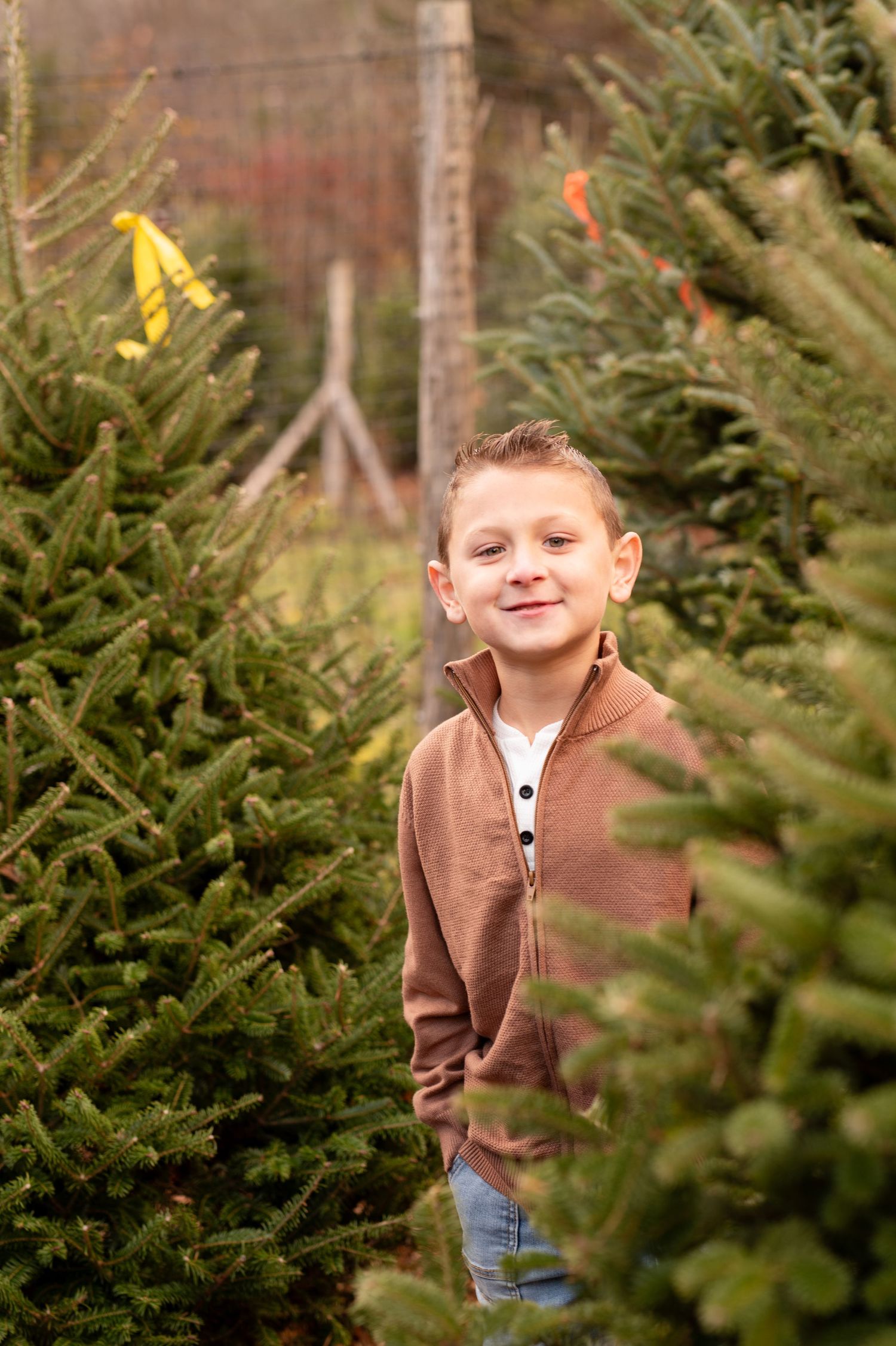 A young figure stands between evergreen trees at a Christmas tree farm wearing a brown zip-up sweater and jeans.