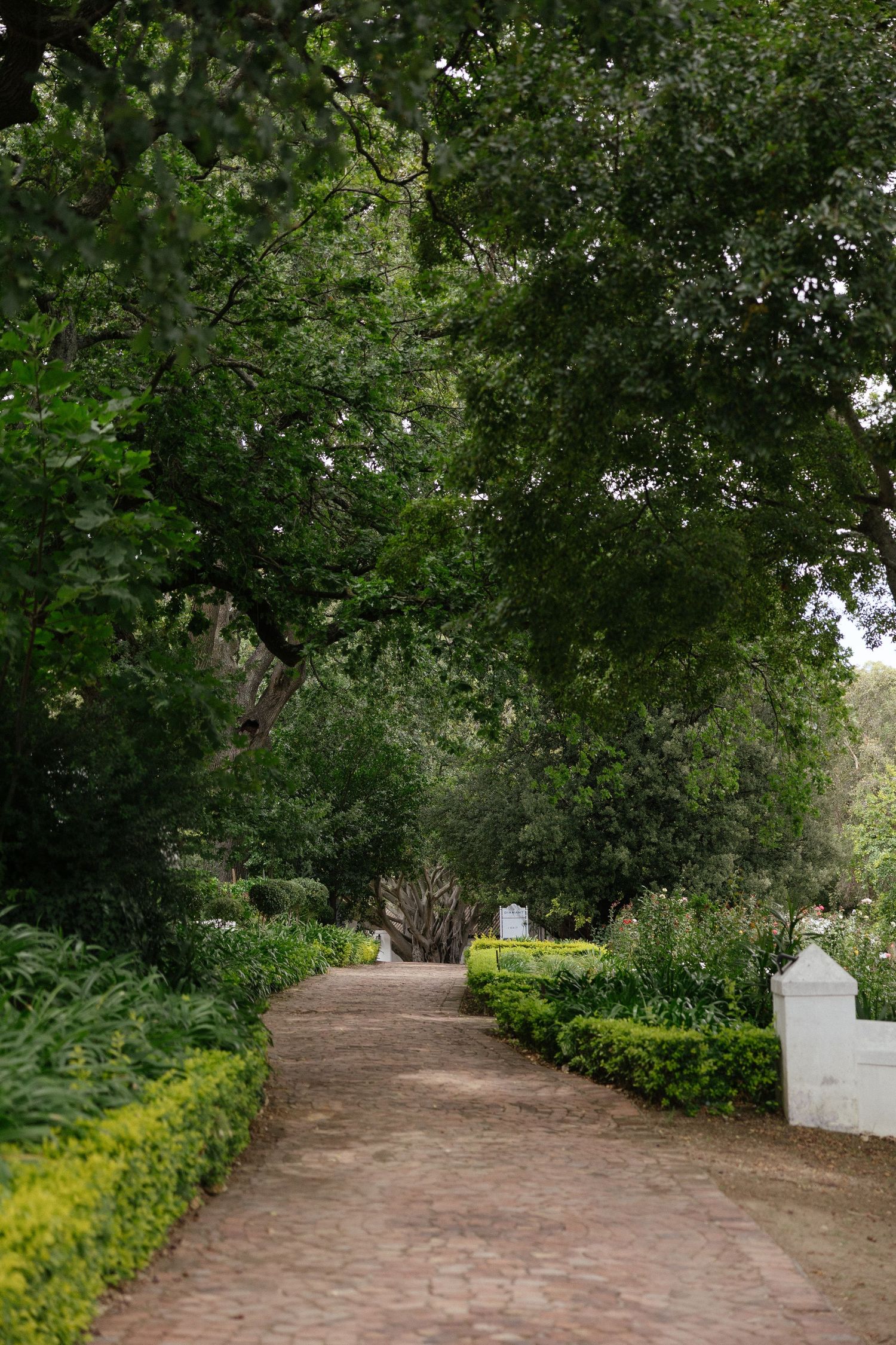 Wedding photographer Christene de Coning at Diamant Estate in Paarl with Deon Meiring and Masch dresses