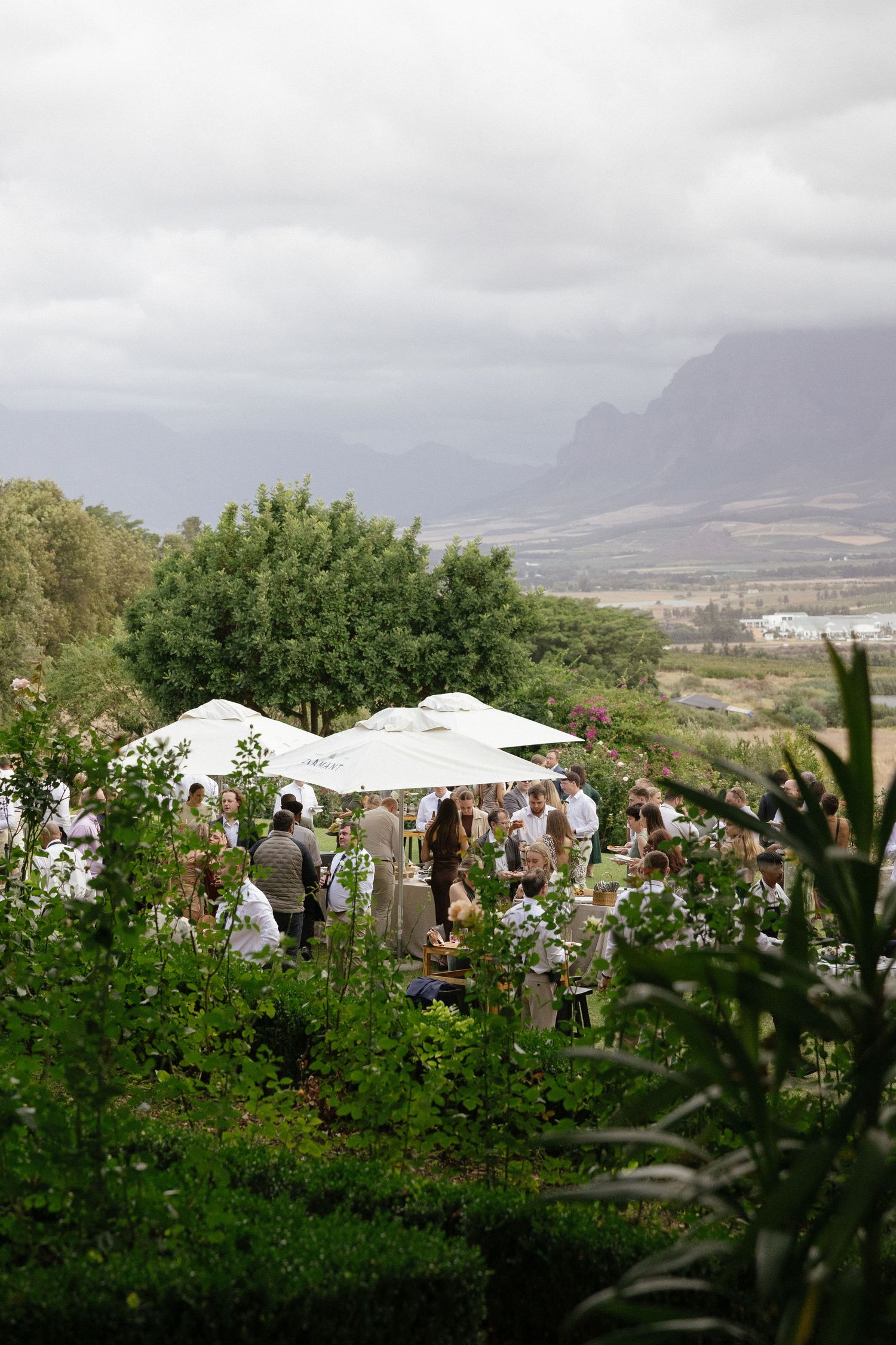 Wedding photographer Christene de Coning at Diamant Estate in Paarl with Deon Meiring and Masch dresses