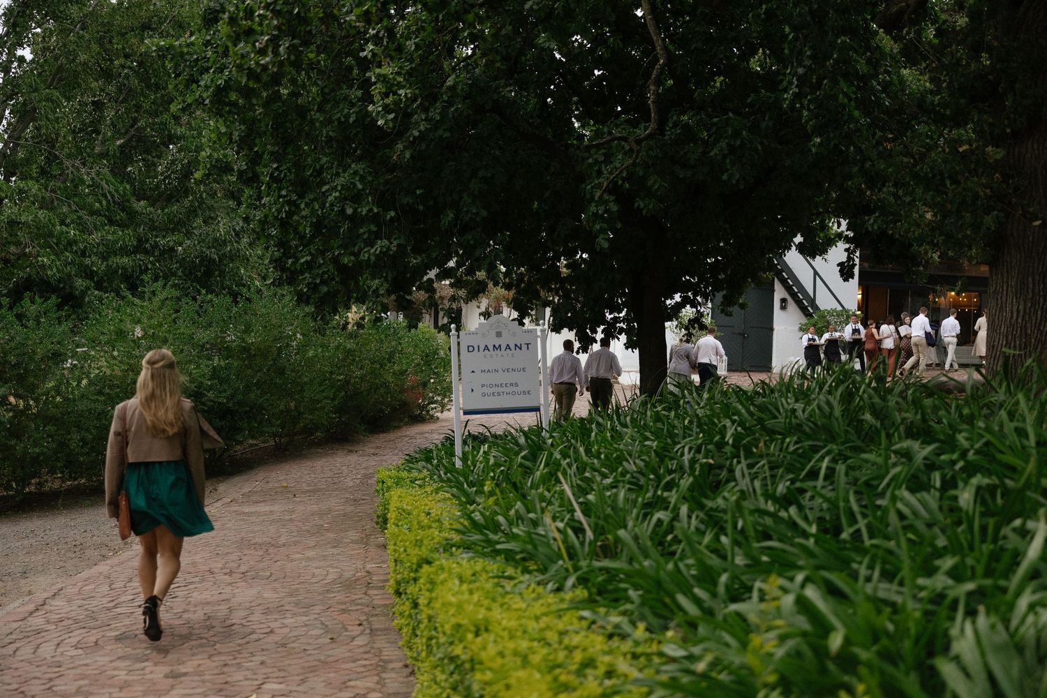 Wedding photographer Christene de Coning at Diamant Estate in Paarl with Deon Meiring and Masch dresses