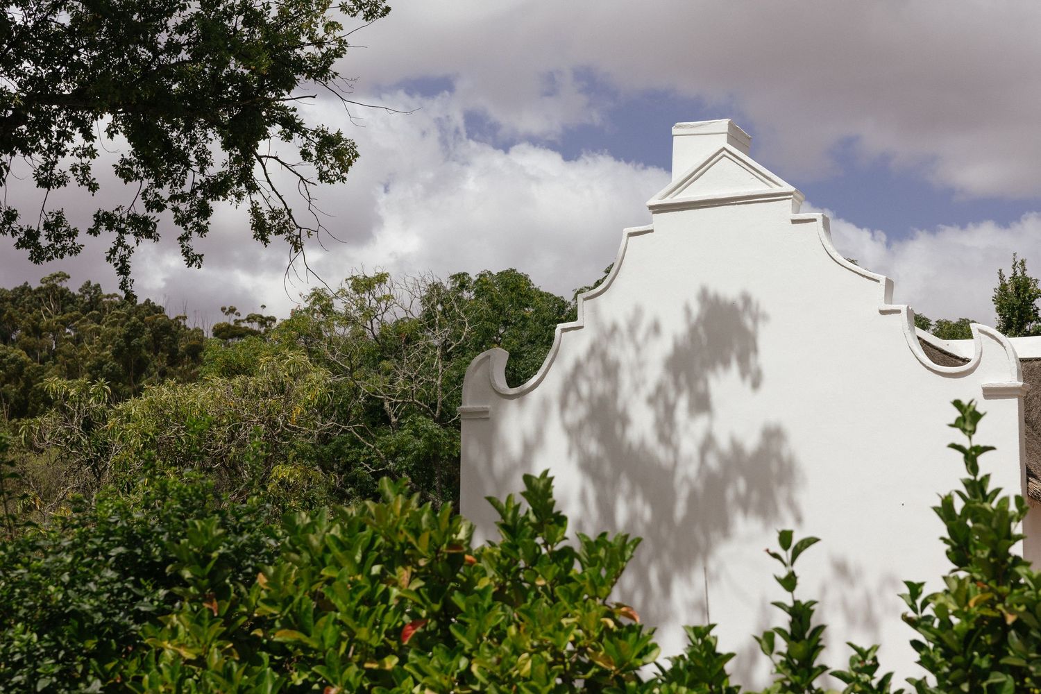 Wedding photographer Christene de Coning at Diamant Estate in Paarl with Deon Meiring and Masch dresses