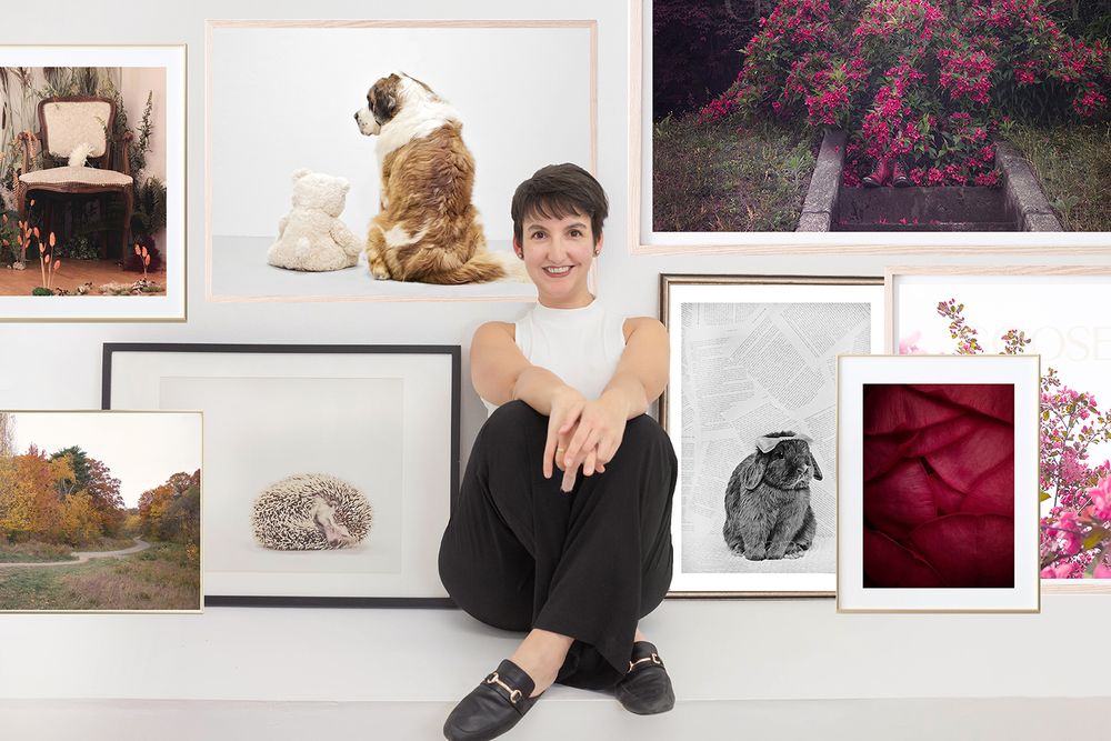 Gallery wall display featuring fine art animal prints and nature photography.