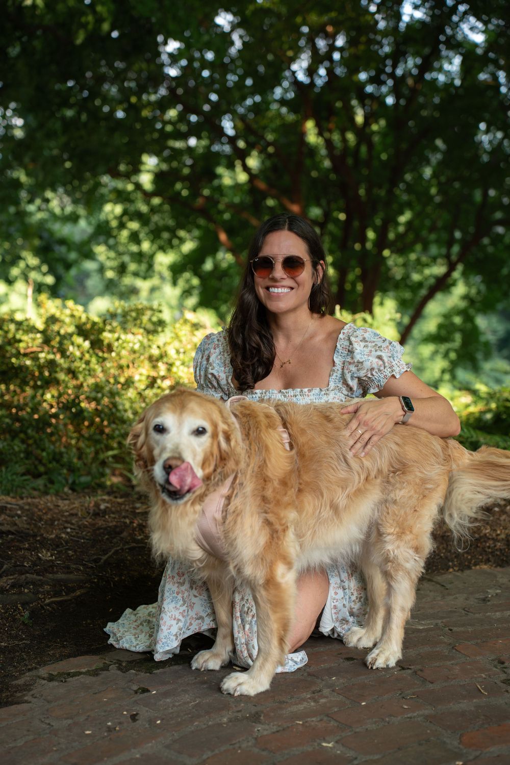 Family Photo, Pets