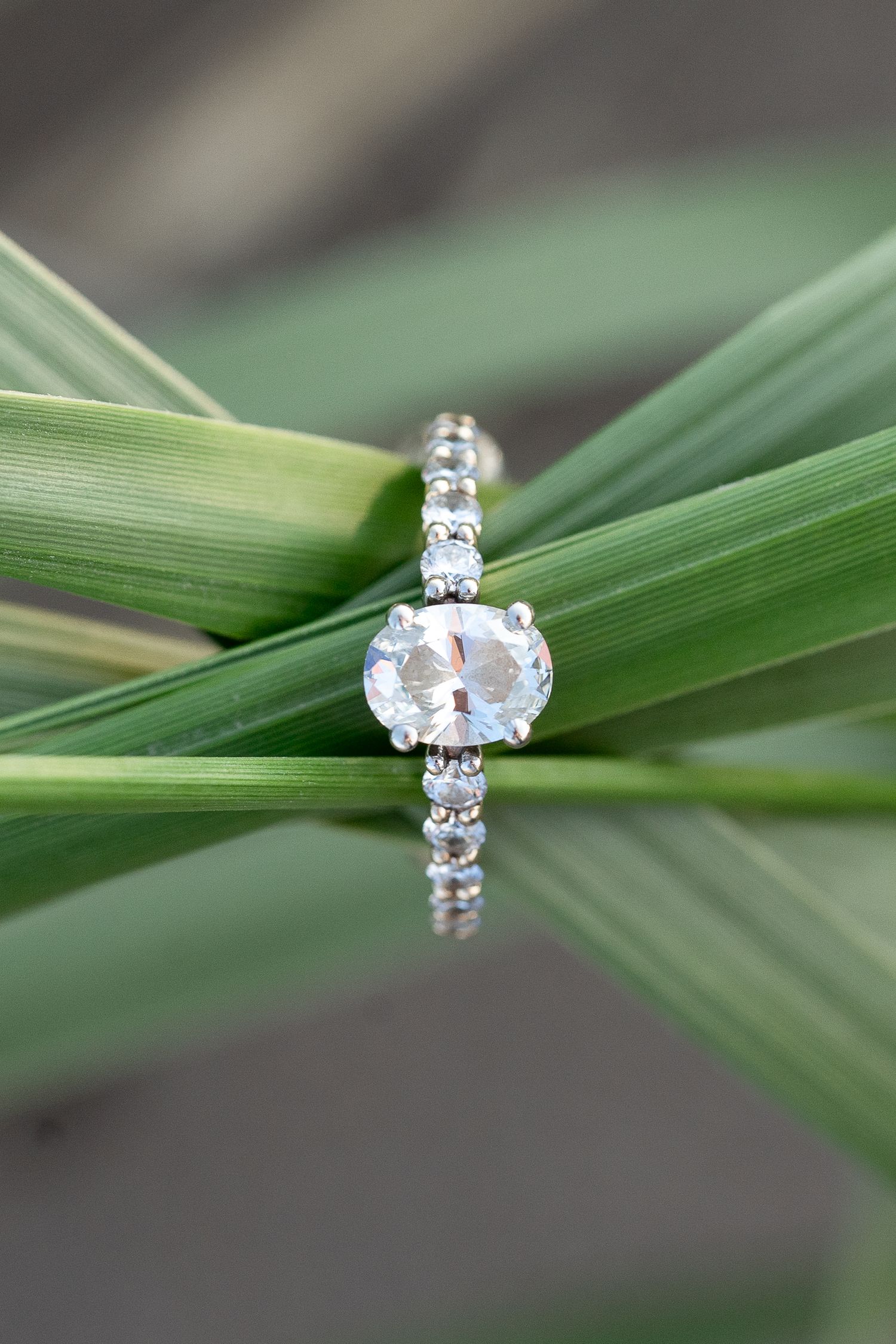 Elegant oval diamond engagement ring resting on green tropical leaves.