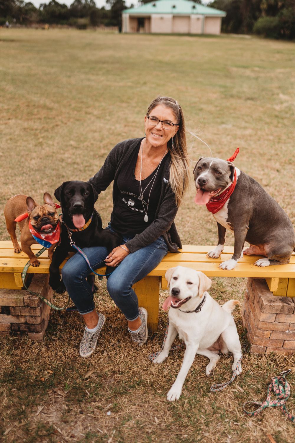Four dogs posing with trainer on outdoor bench at training facility.