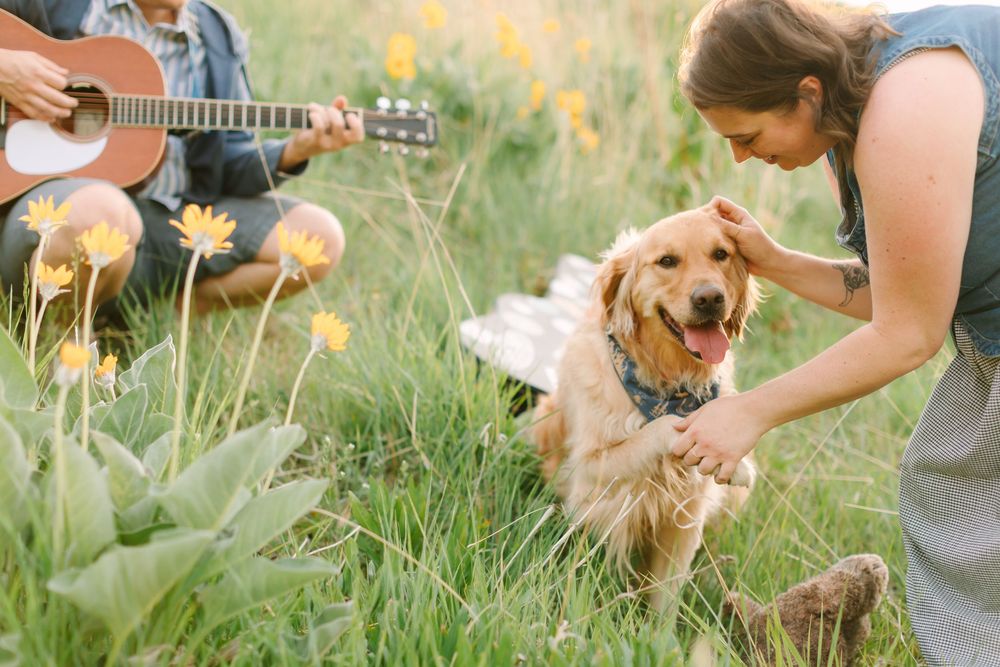 Becky Green Photography about me and my dog