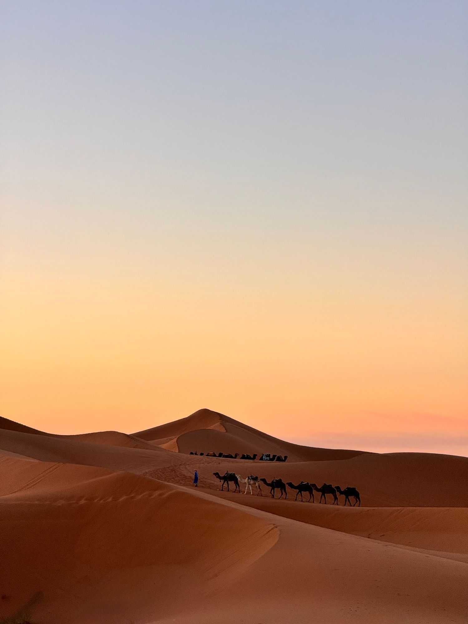 merzouga desert