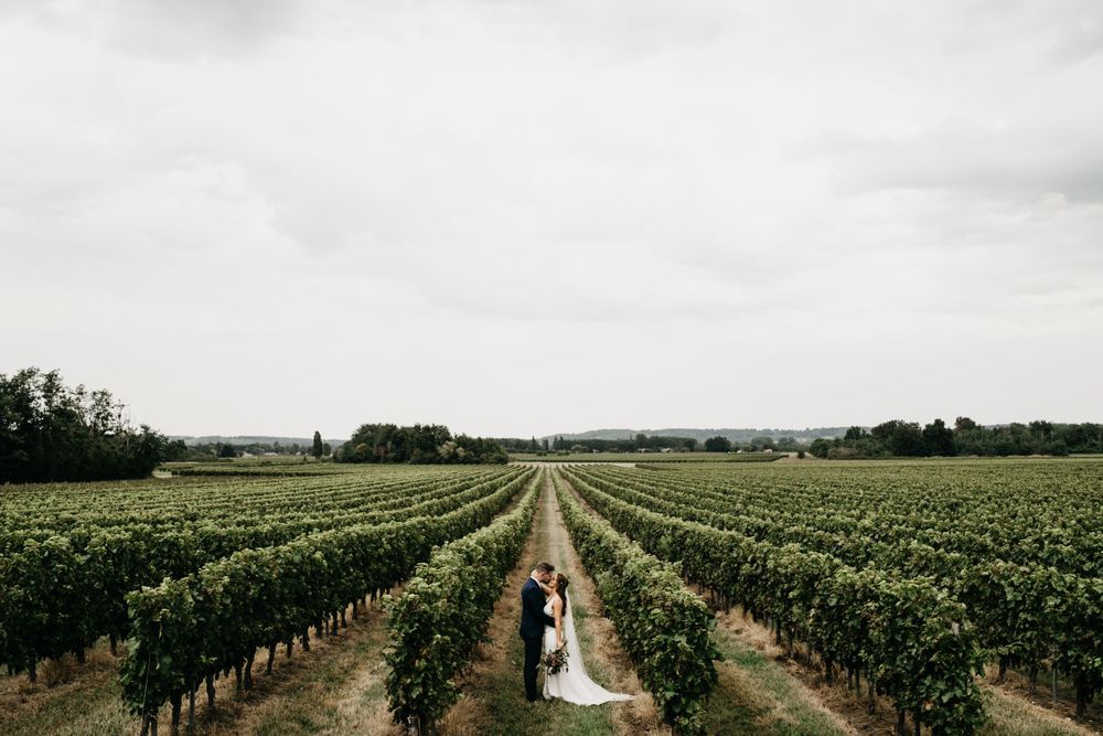 bride and groom in the vineyards at Chateau Rigaud