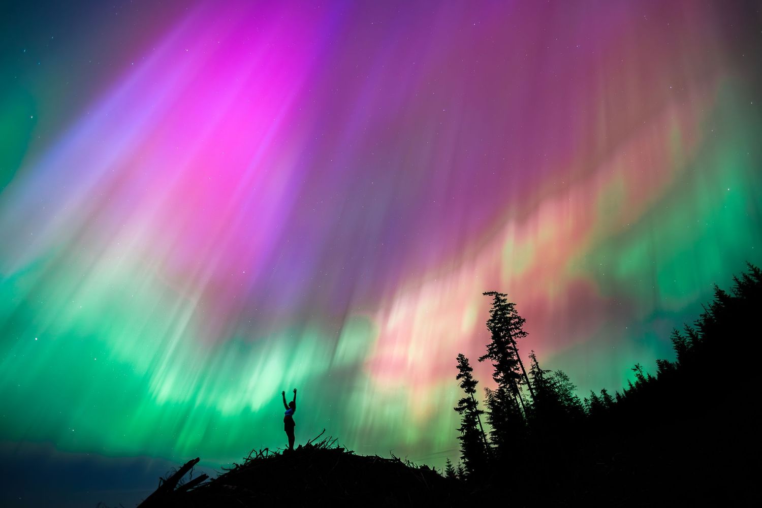 Vibrant aurora borealis with pink and green lights illuminating the night sky over a forest landscape.