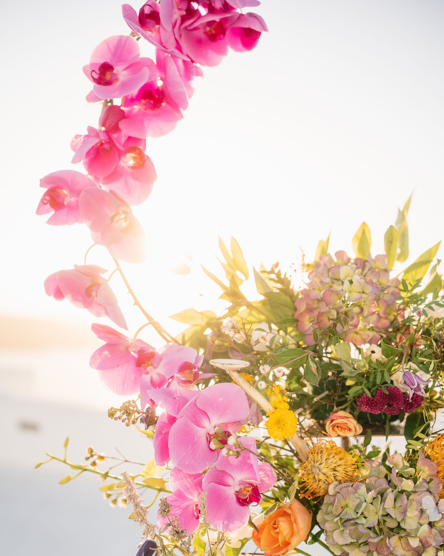 Vibrant pink orchids and mixed floral arrangement against sunset backdrop.