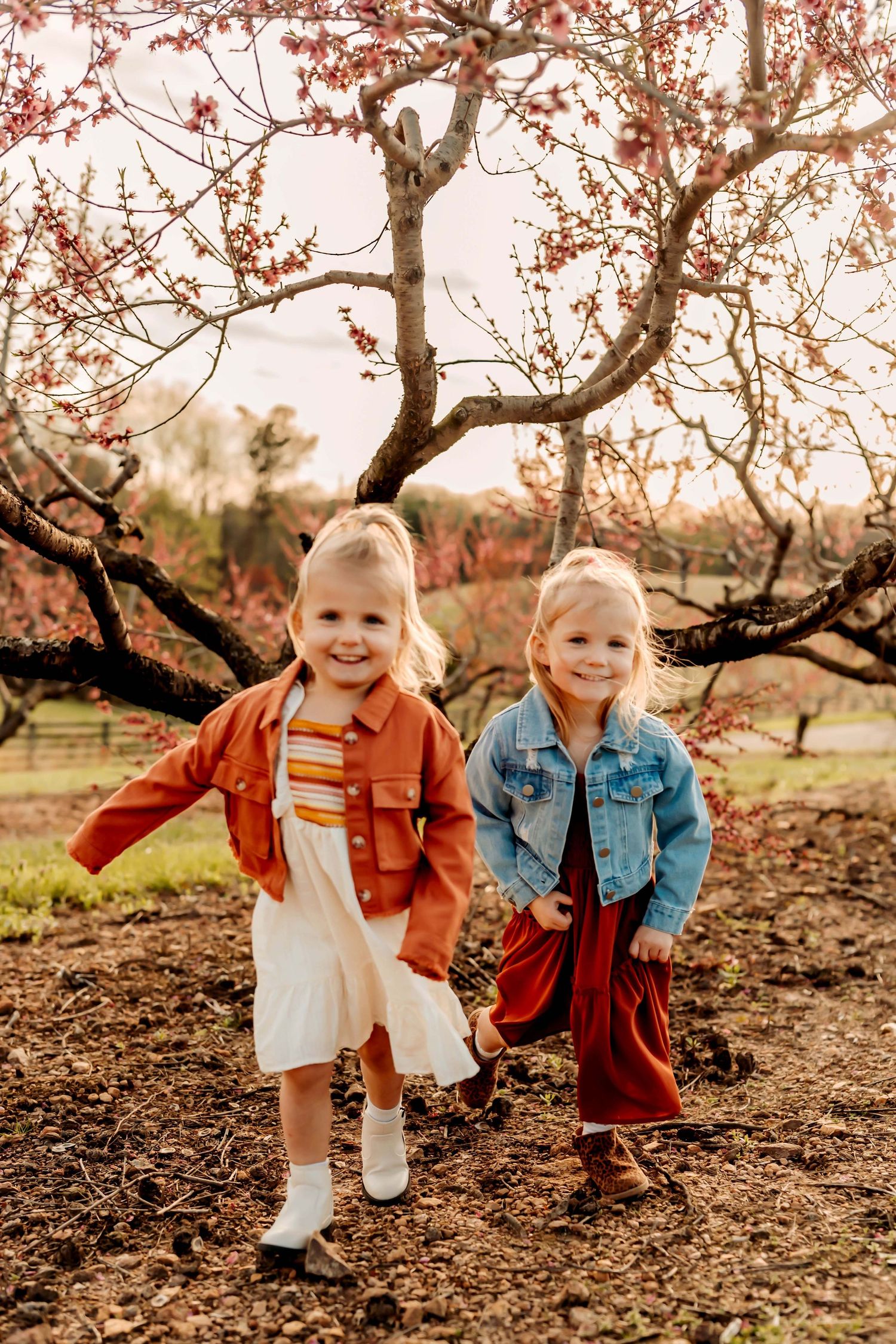 FAMILY PHOTOS AT BJ REECE APPLE ORCHARDS