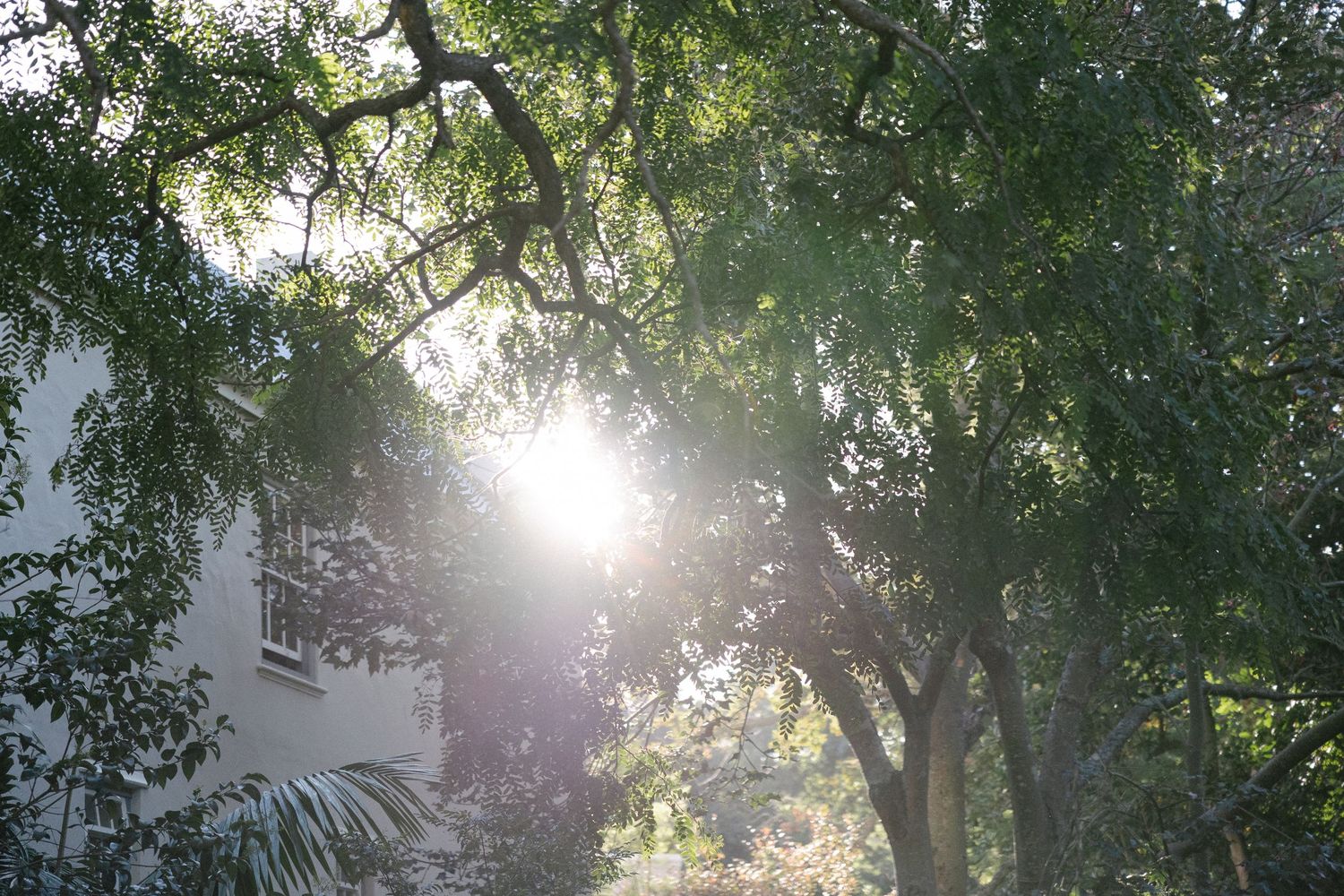 Forest Cottage Cape Town wedding photographer. The Hustle team. Chadwick Jubber. Theodore Key.  Rolling Events. Michelle Moolman