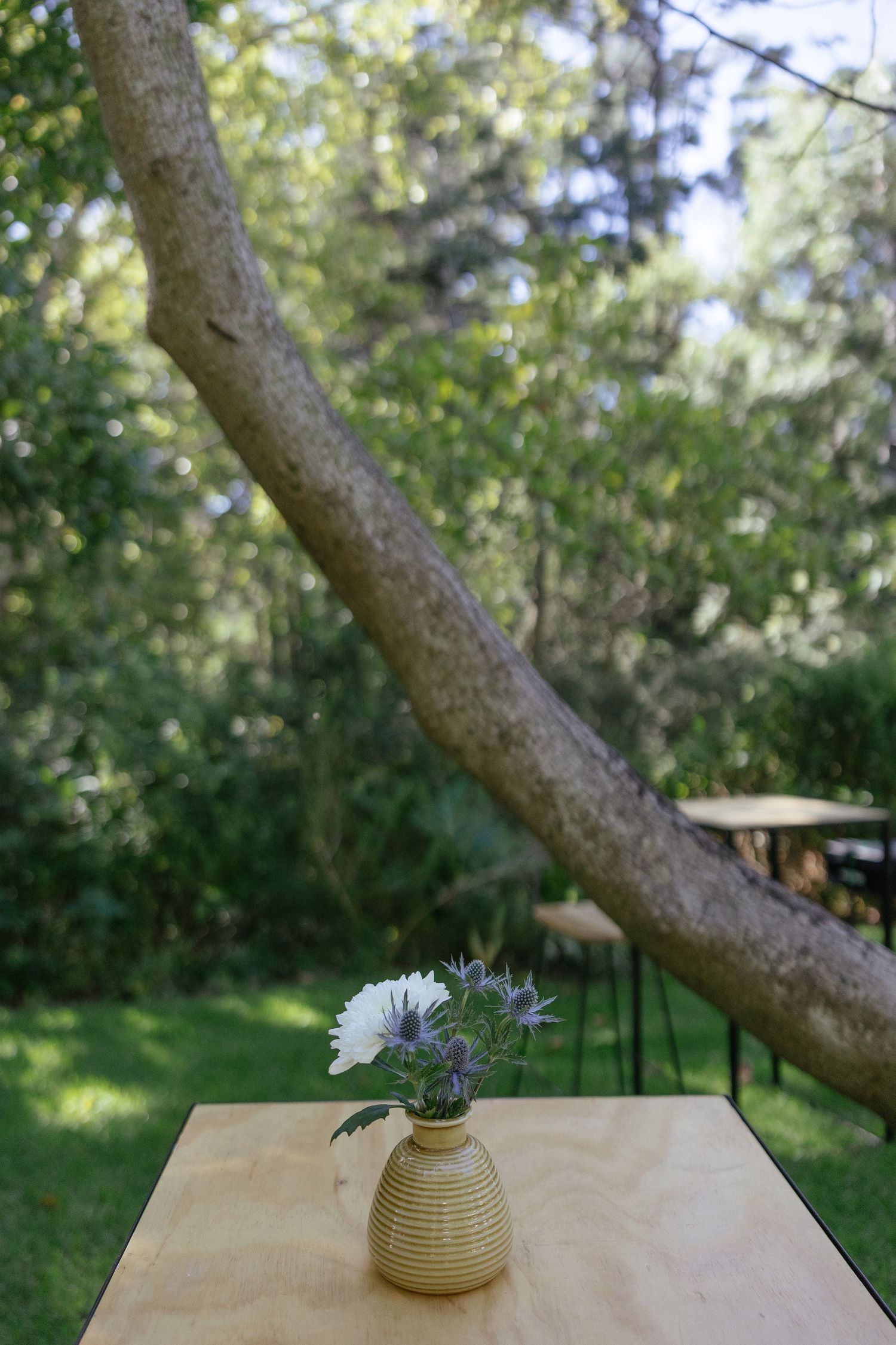 Forest Cottage Cape Town wedding photographer. The Hustle team. Chadwick Jubber. Theodore Key.  Rolling Events. Michelle Moolman