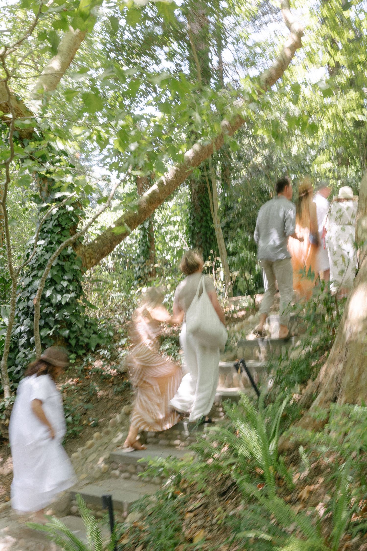 Forest Cottage Cape Town wedding photographer. Chadwick Jubber. Theodore Key.  Rolling Events. Michelle Moolma Lorne Jewellery