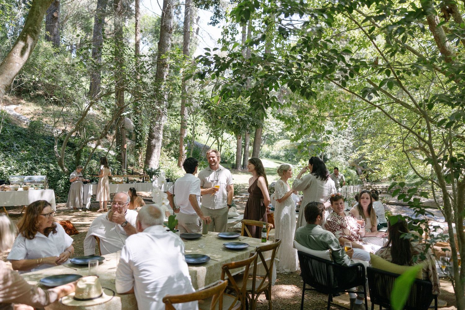 Forest Cottage Cape Town wedding photographer. Chadwick Jubber. Theodore Key.  Rolling Events. Michelle Moolma Lorne Jewellery