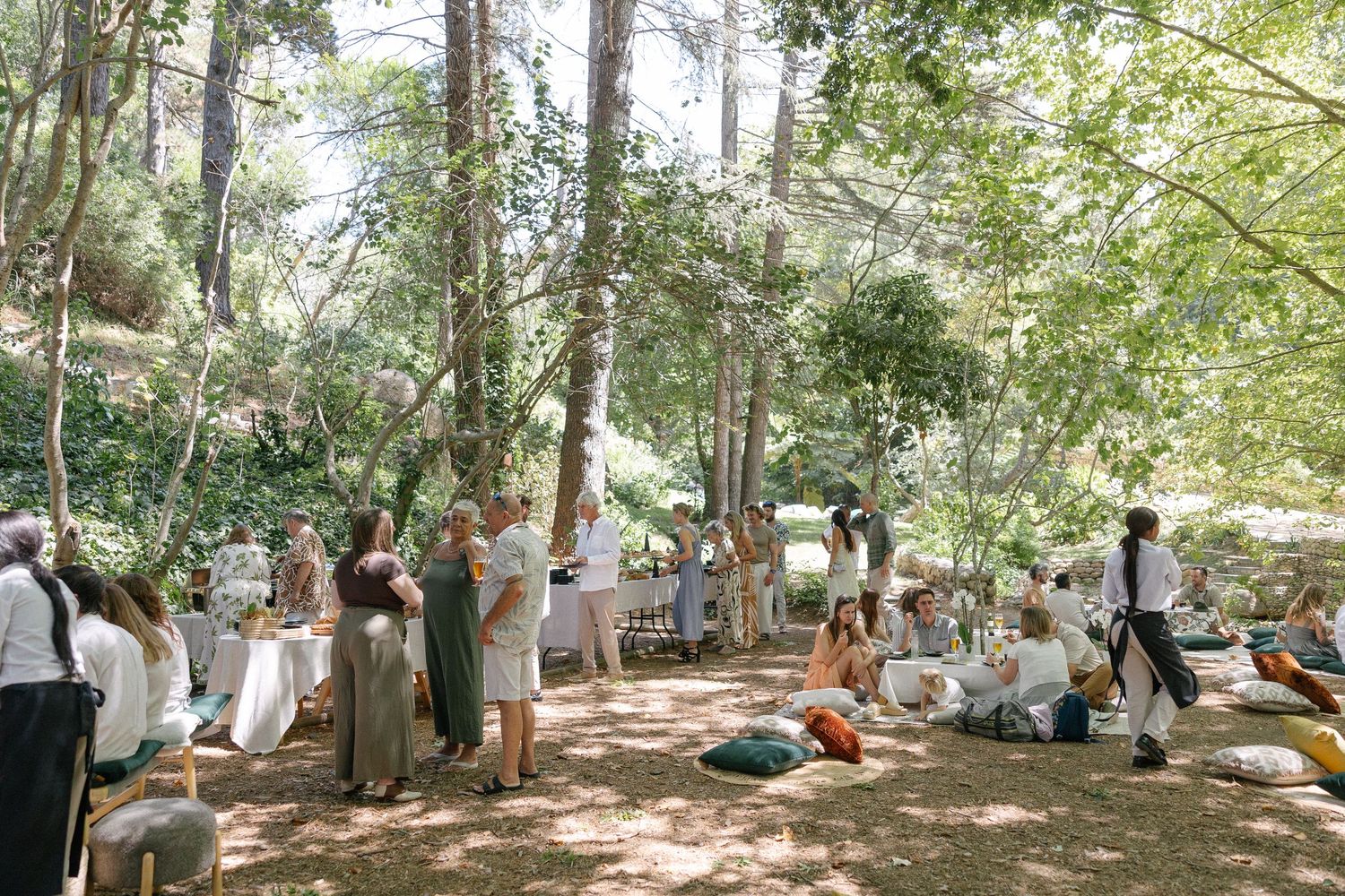 Forest Cottage Cape Town wedding photographer. Chadwick Jubber. Theodore Key.  Rolling Events. Michelle Moolma Lorne Jewellery