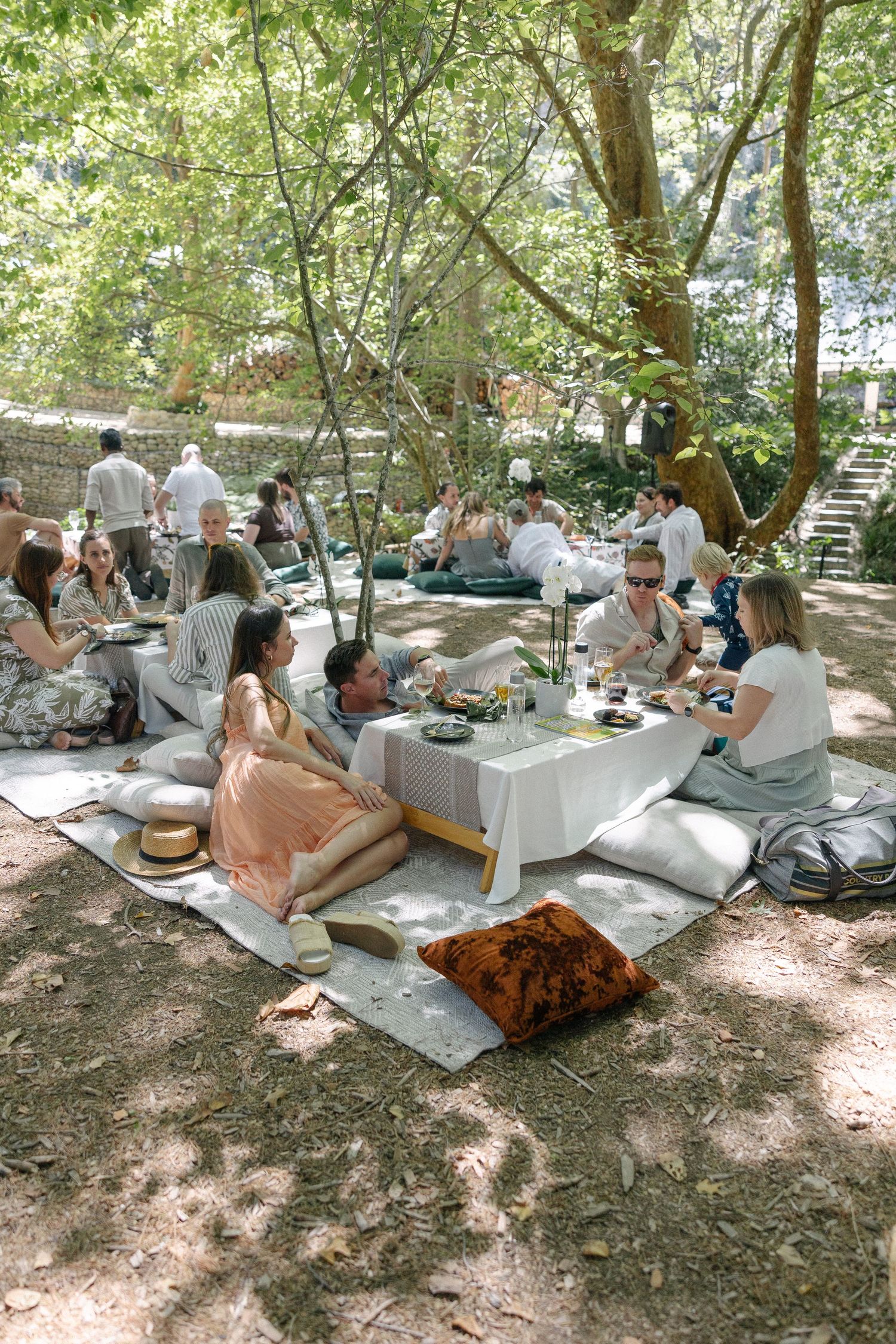 Forest Cottage Cape Town wedding photographer. Chadwick Jubber. Theodore Key.  Rolling Events. Michelle Moolma Lorne Jewellery