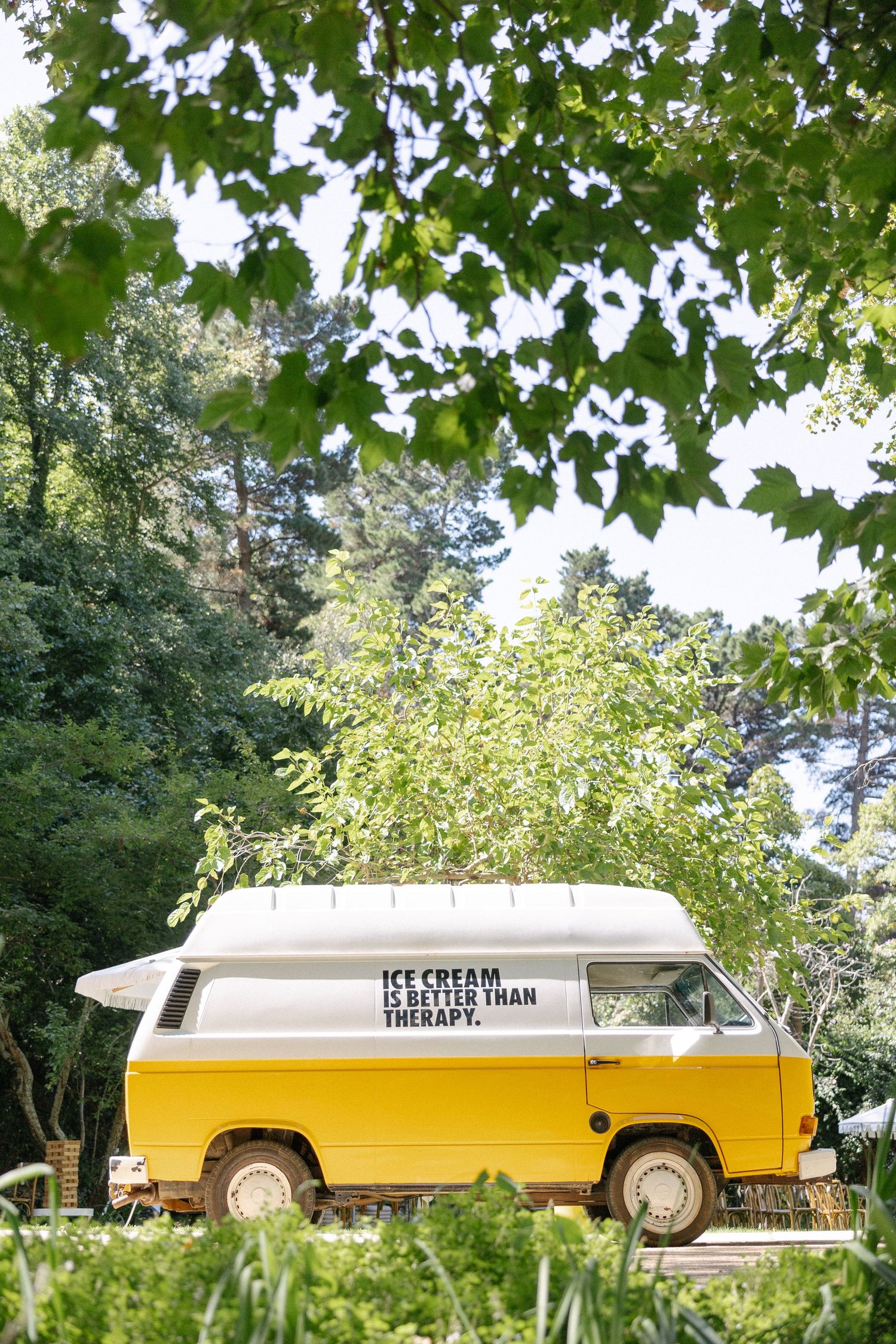 Forest Cottage Cape Town wedding photographer. Chadwick Jubber. Theodore Key.  Rolling Events. Michelle Moolma Lorne Jewellery