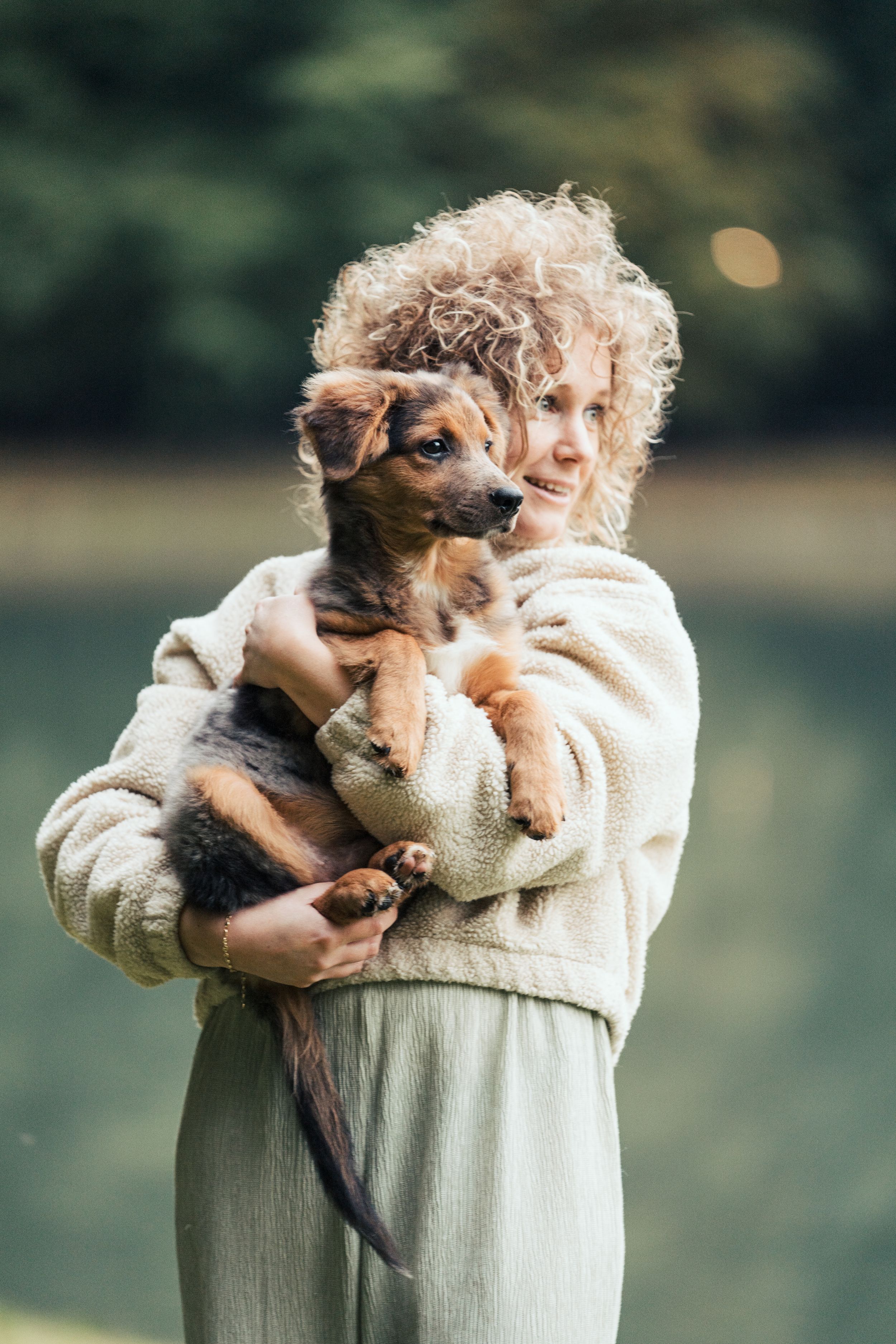 A beautifull picture of a dog puppy in the hands of its owner.