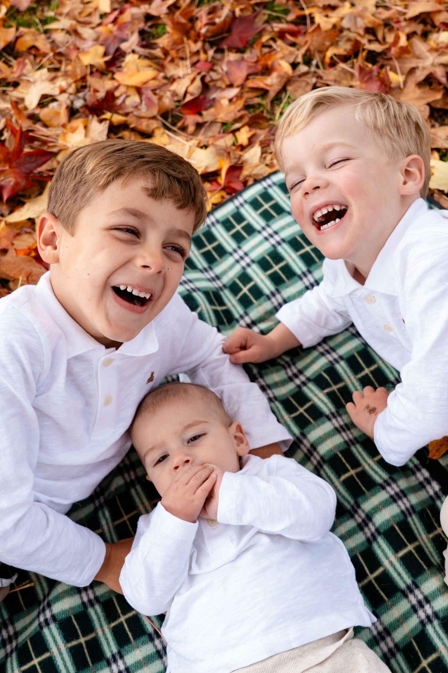 A candid moment of three young brothers laughing during photoshoot at Reed College Portland Oregon