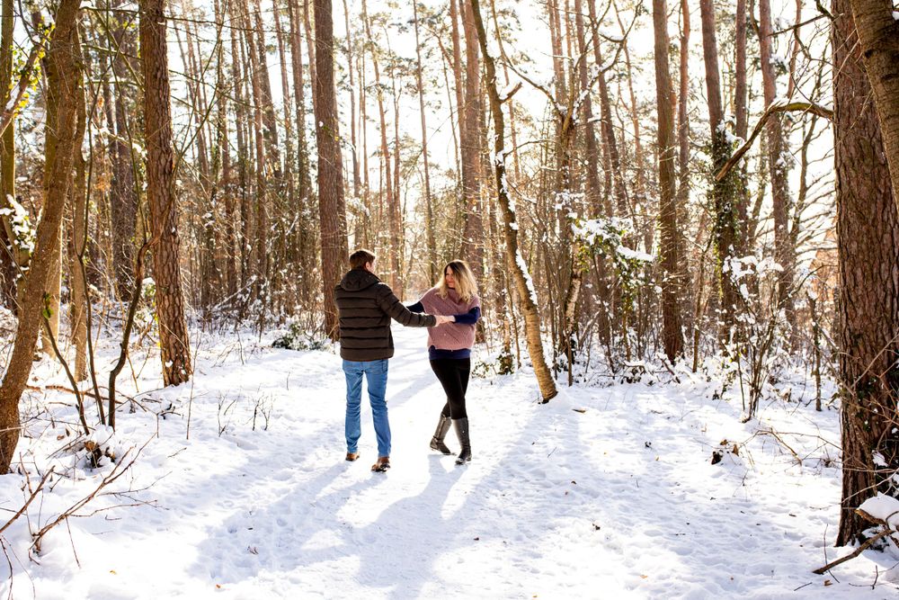 Winter forest panorama showing snowy paths between tall trees.