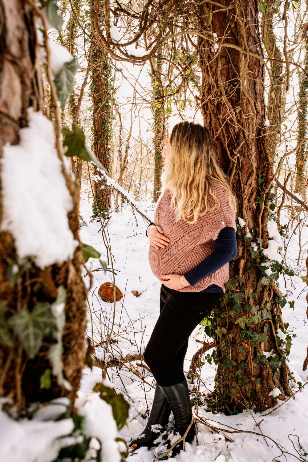 Series of winter forest scenes with snow-covered ground and bare trees.
