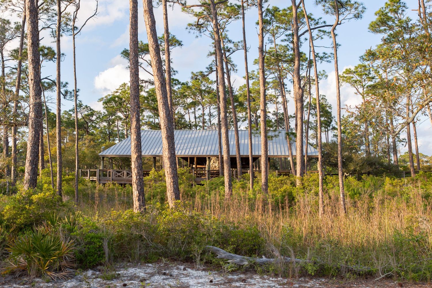 Governor's pavilion Big lagoon state park