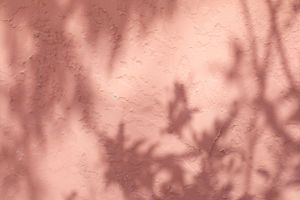 Pink wall with delicate tree shadow patterns creating abstract texture.